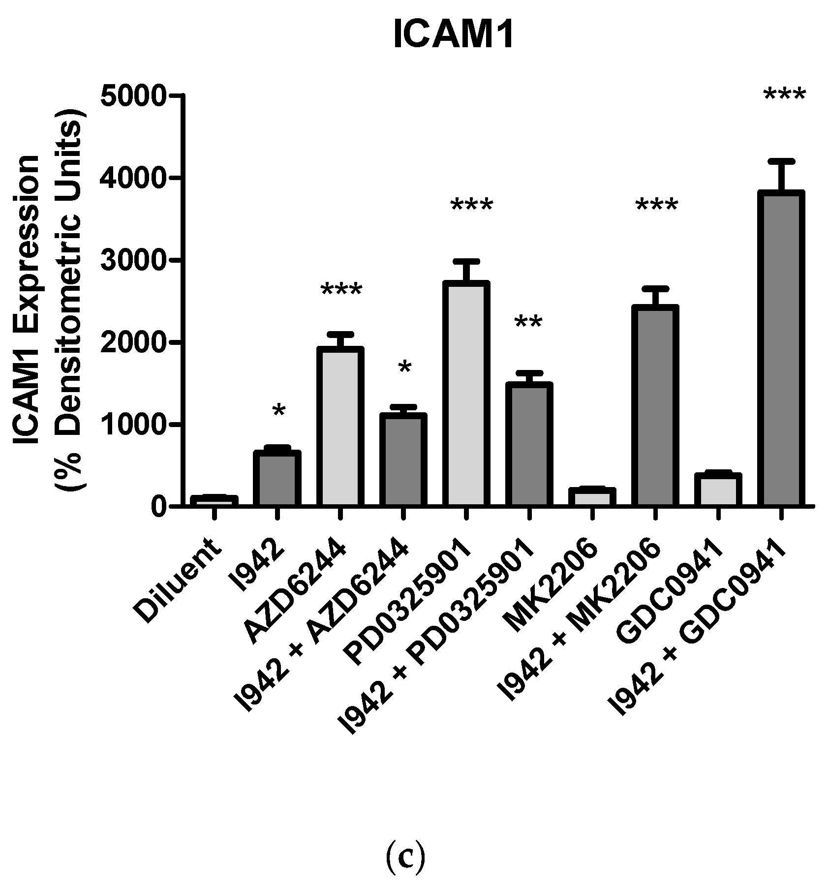 Cells 08 01253 g010b Cells 08 01253 g010b