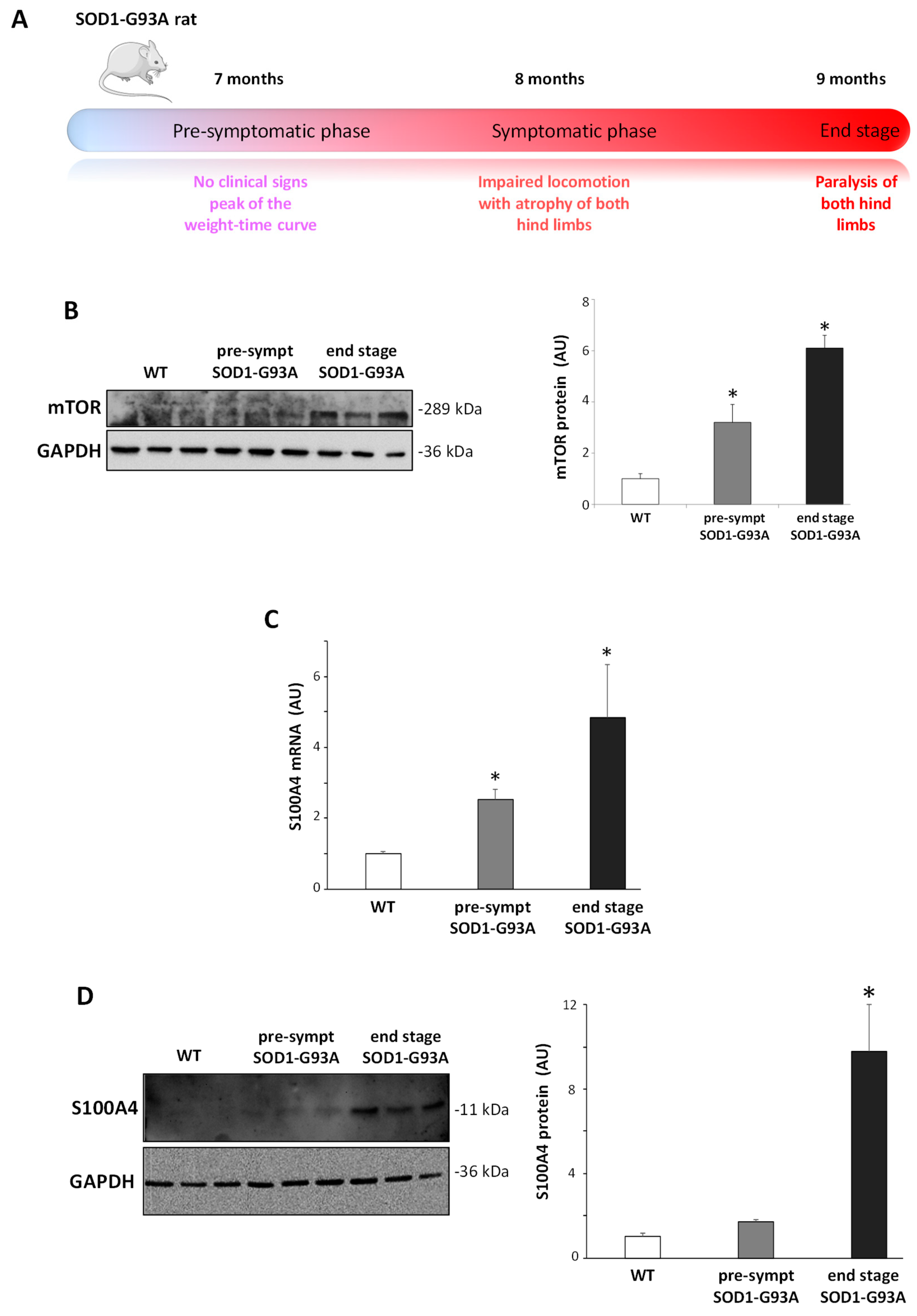 Cells 08 01261 g005 Cells 08 01261 g005