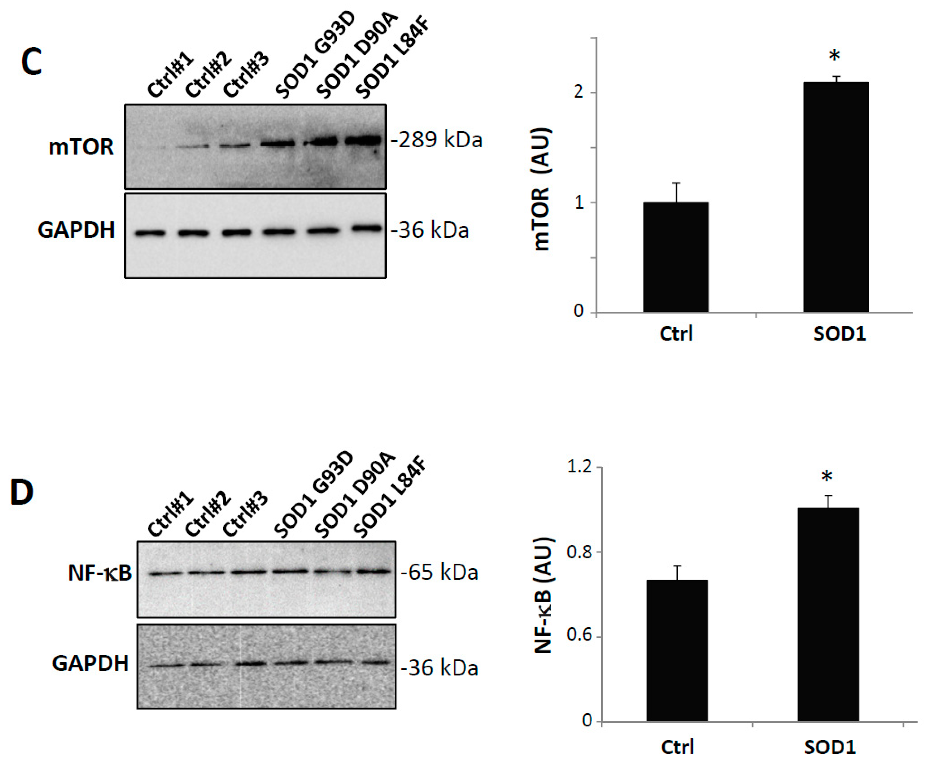 Cells 08 01261 g007b Cells 08 01261 g007b