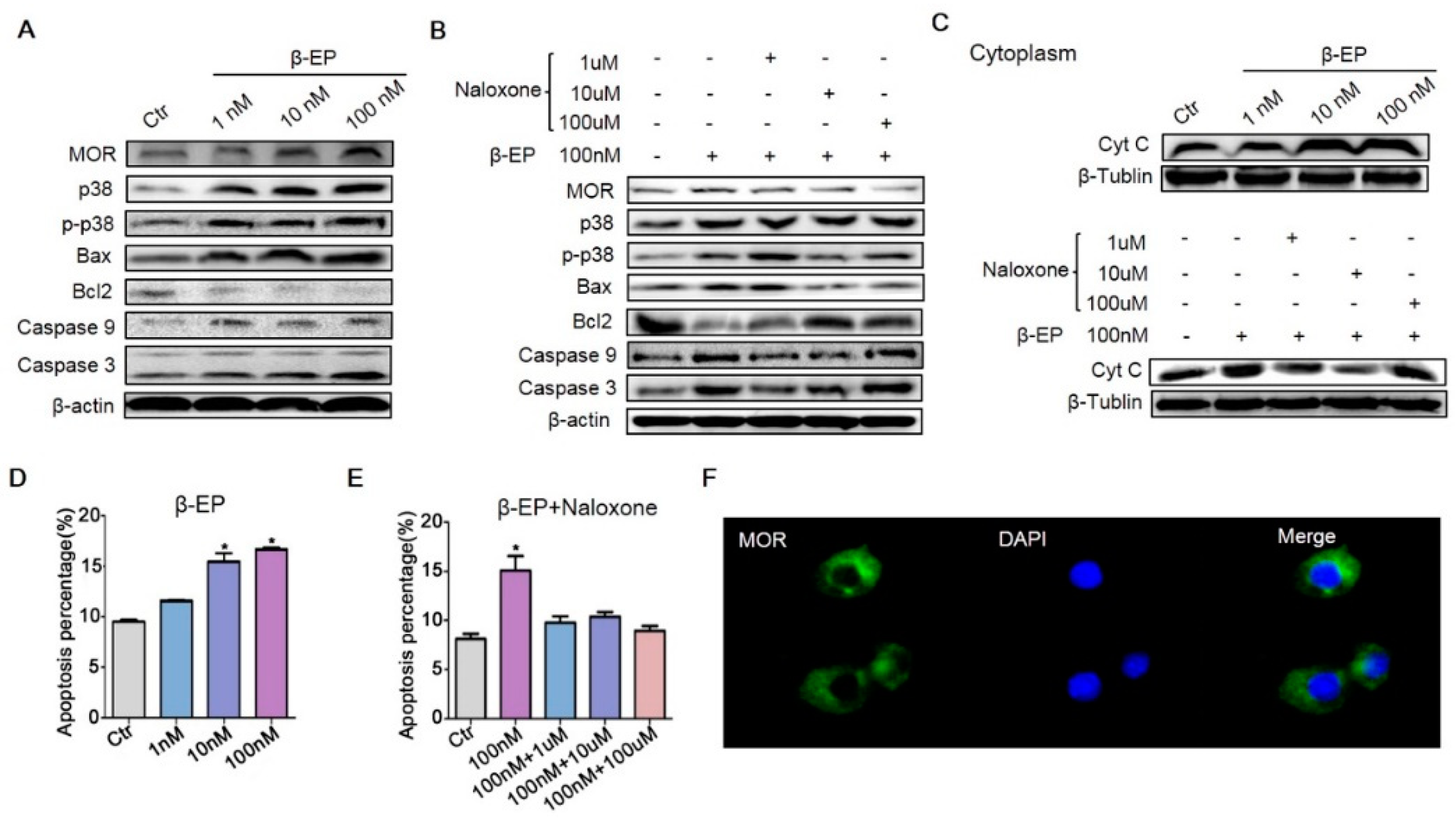 Cells 08 01265 g005