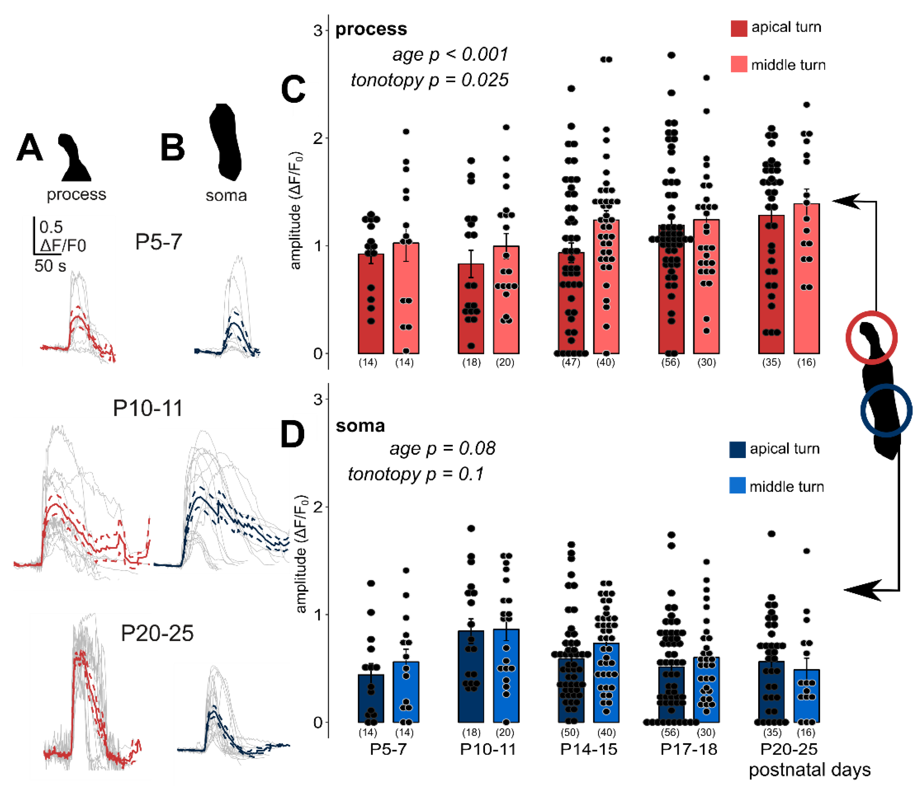 Cells 08 01266 g003 Cells 08 01266 g003