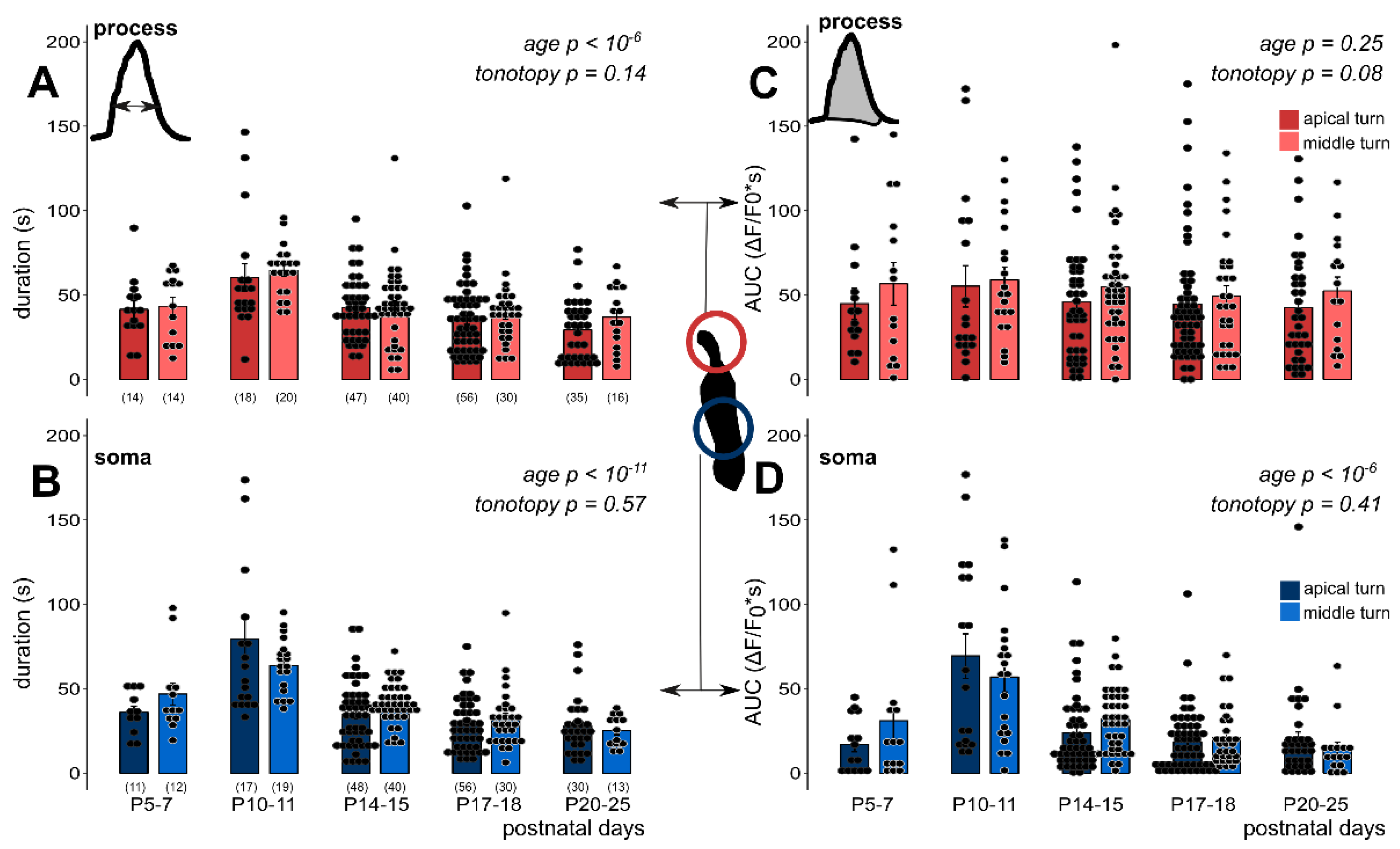 Cells 08 01266 g004 Cells 08 01266 g004