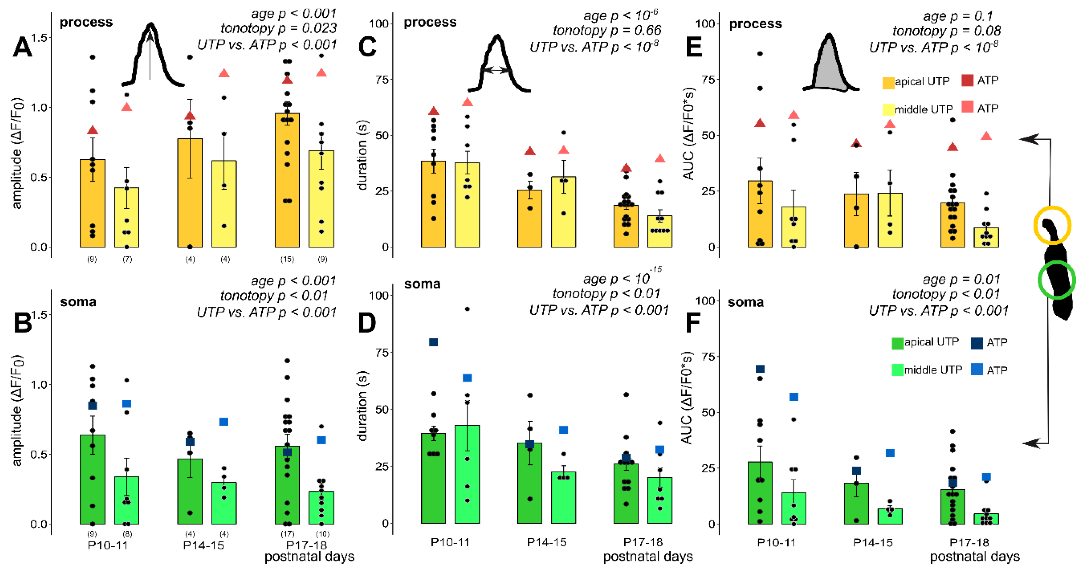 Cells 08 01266 g005 Cells 08 01266 g005
