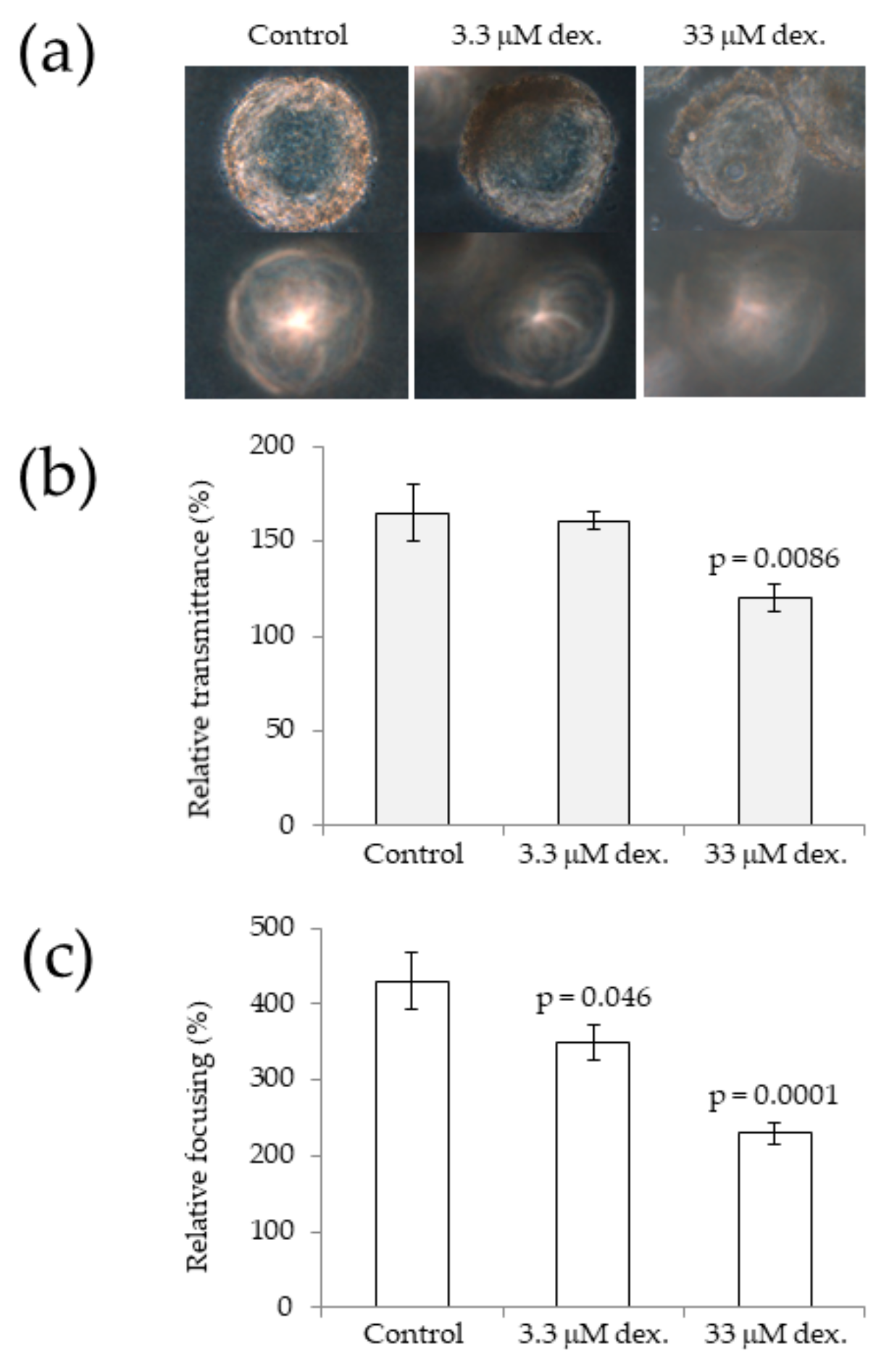 Cells 08 01269 g002 Cells 08 01269 g002