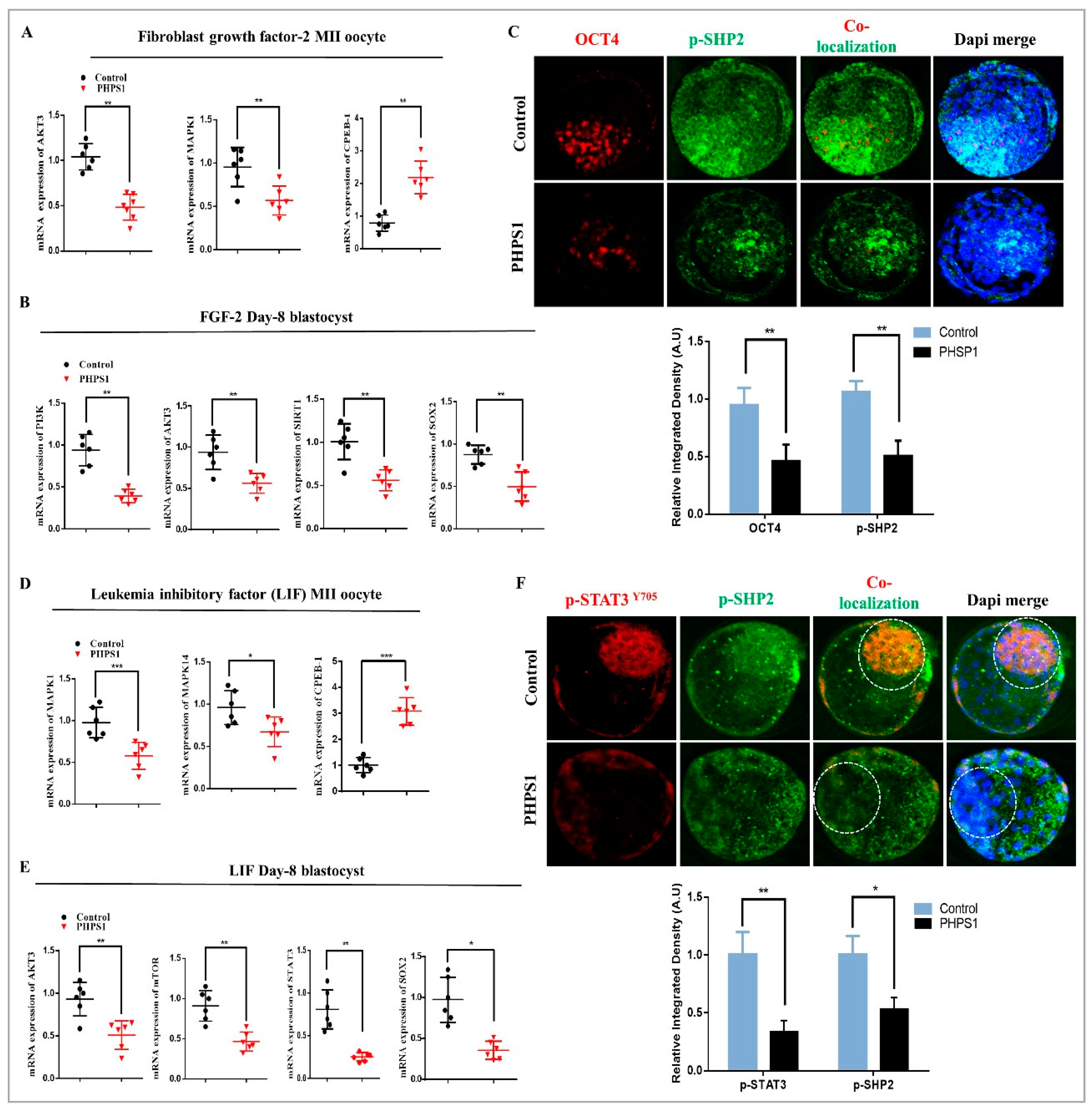 Cells 08 01272 g005 Cells 08 01272 g005