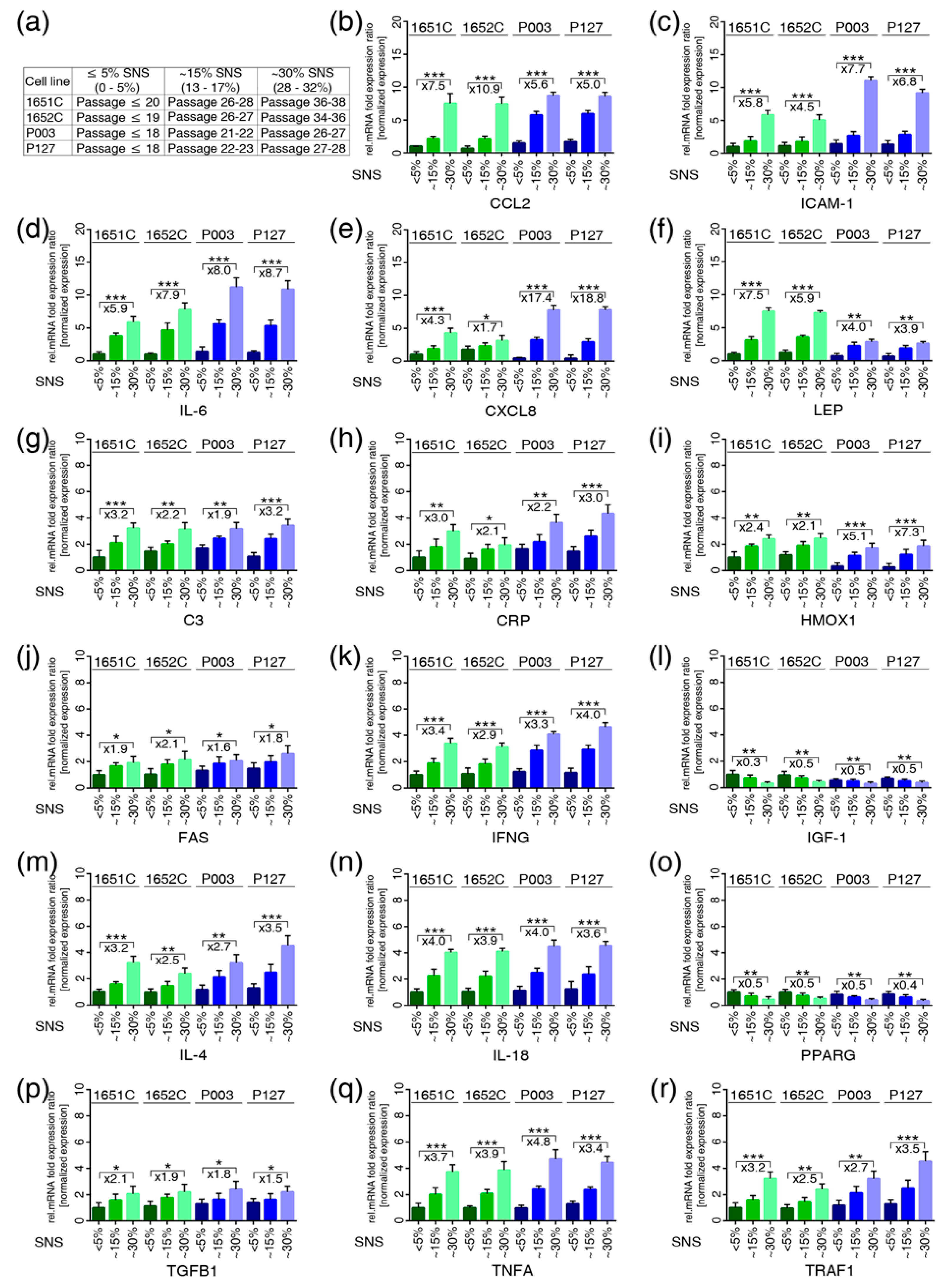 Cells 08 01276 g002