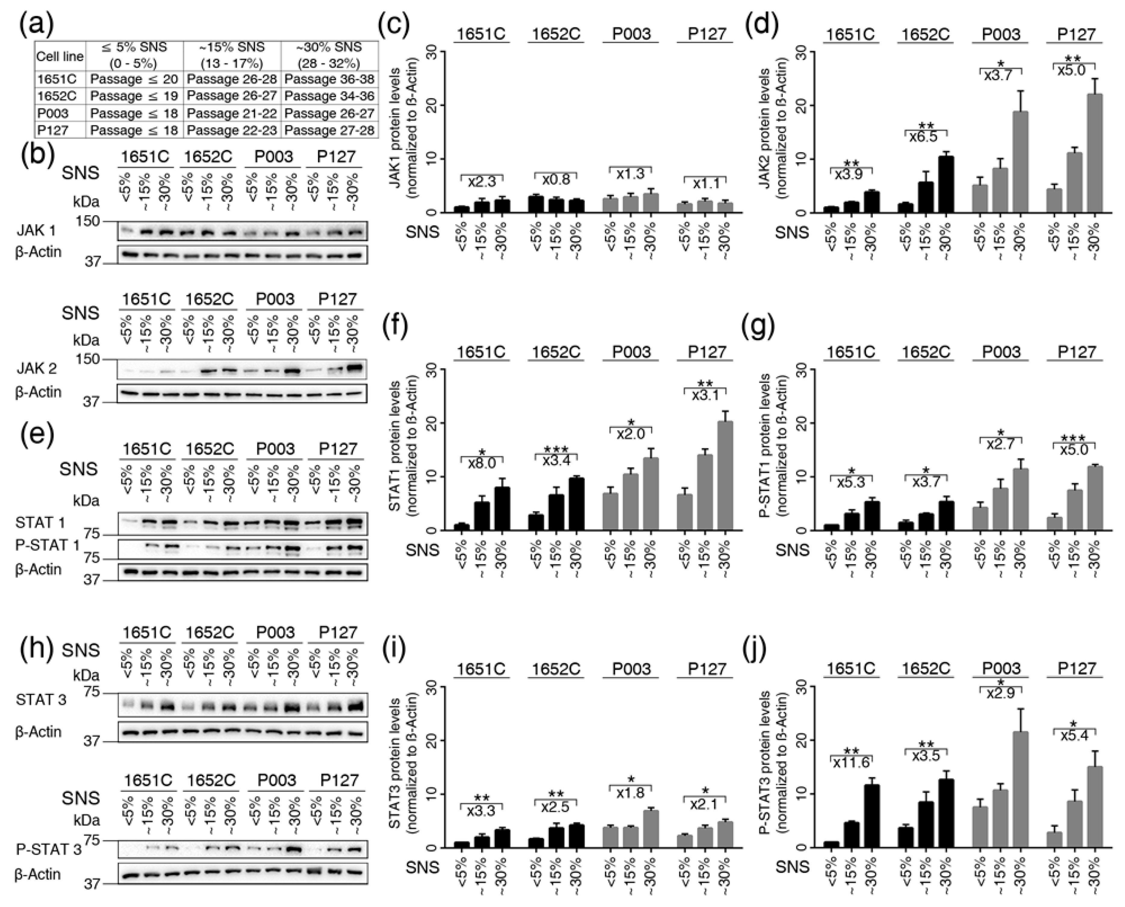 Cells 08 01276 g003