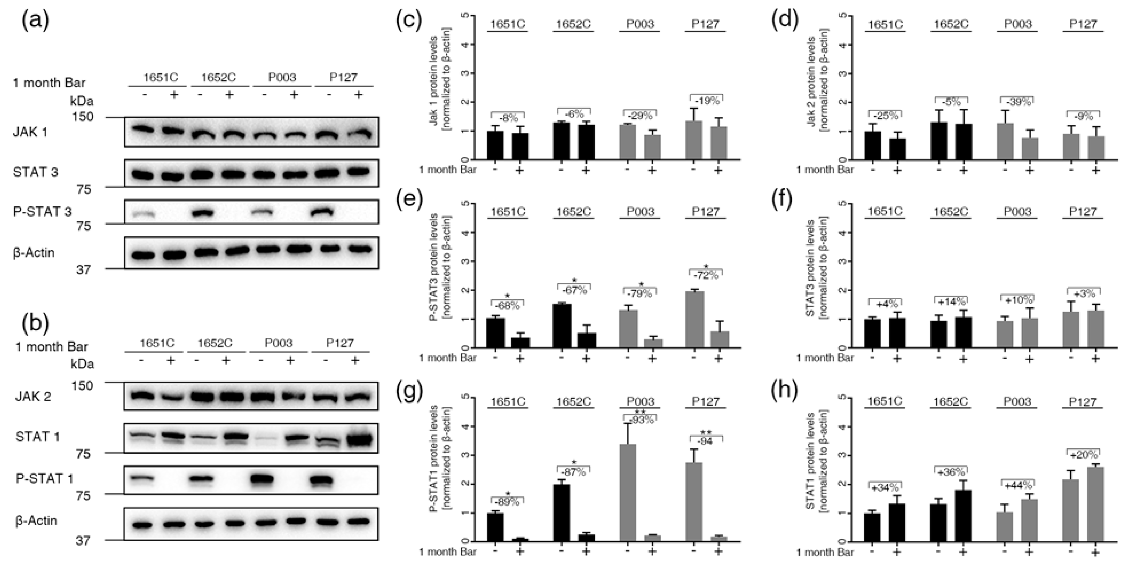 Cells 08 01276 g004