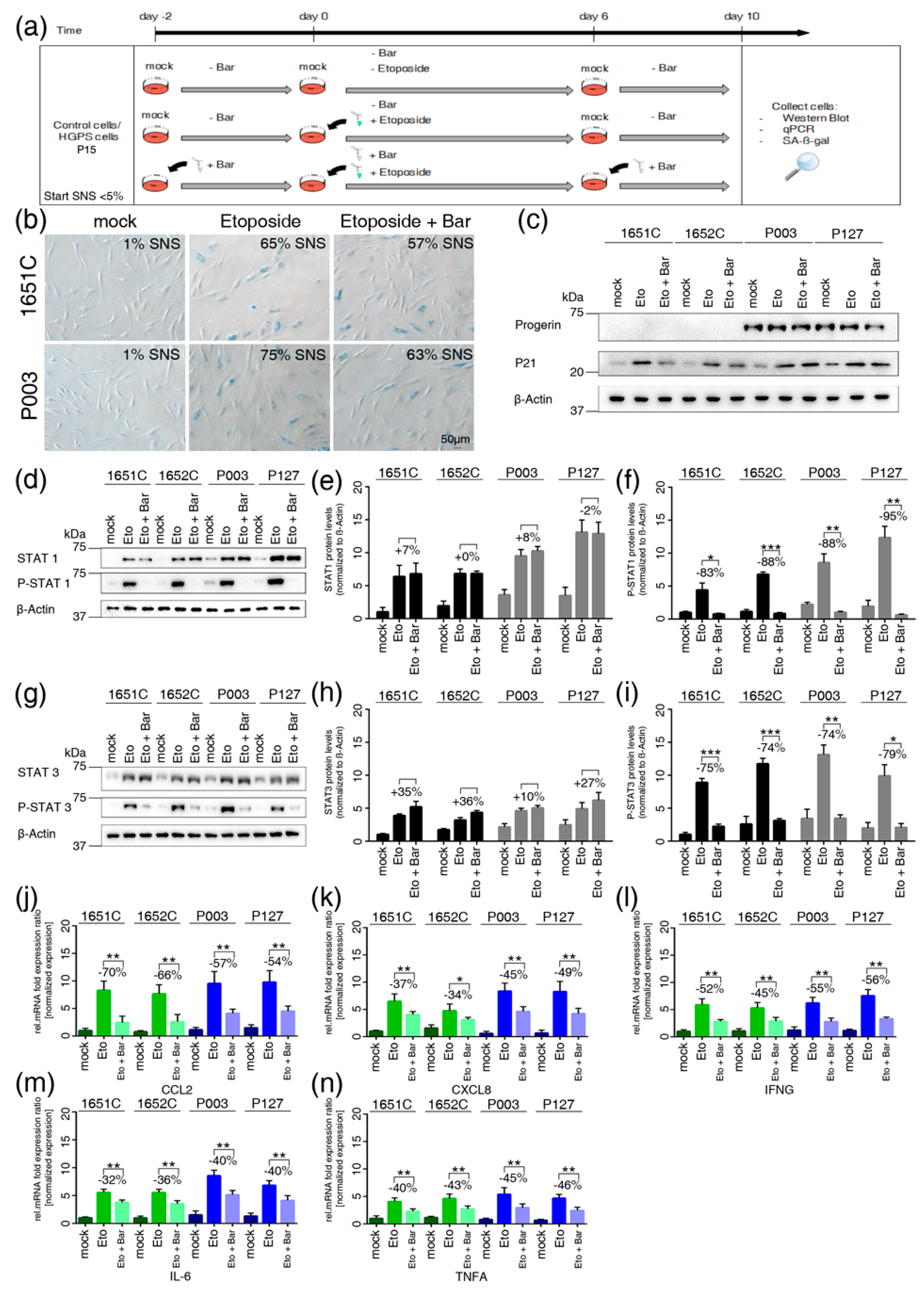 Cells 08 01276 g006