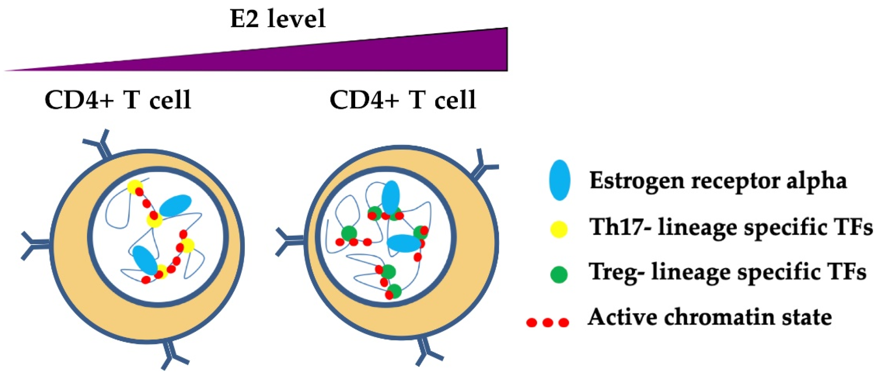 Cells 08 01280 g005 Cells 08 01280 g005
