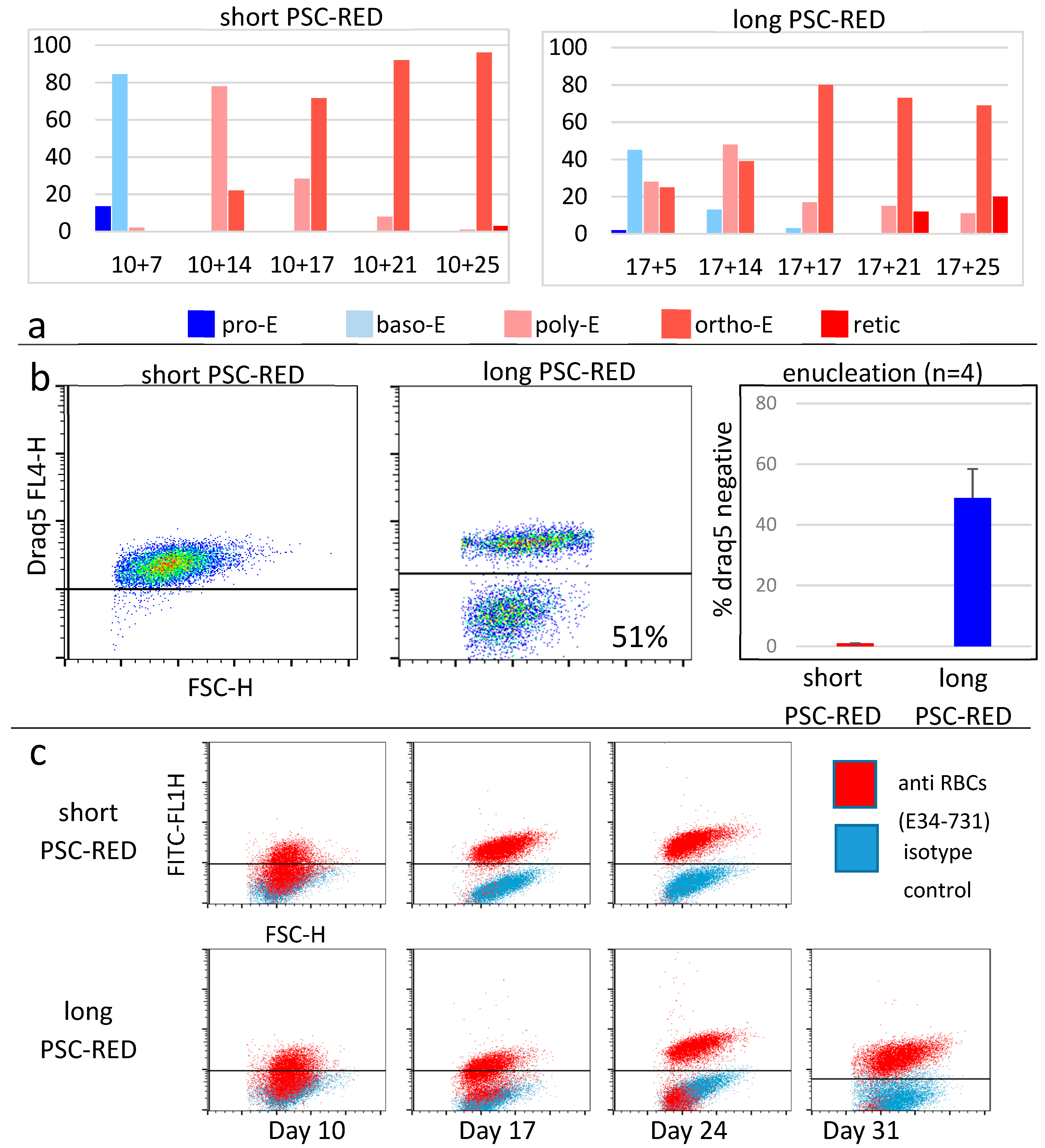 Cells 08 01282 g005 Cells 08 01282 g005