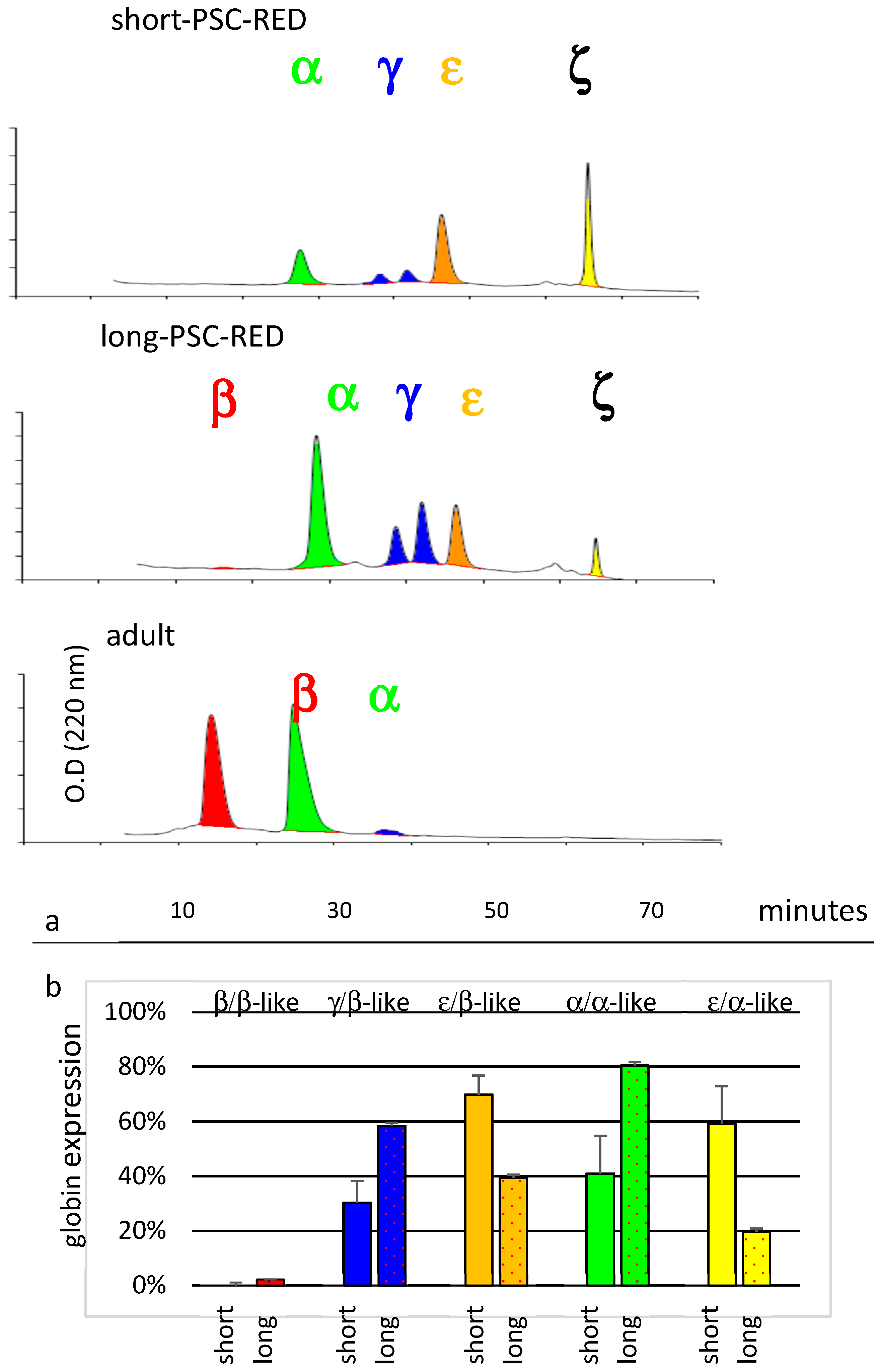 Cells 08 01282 g006 Cells 08 01282 g006