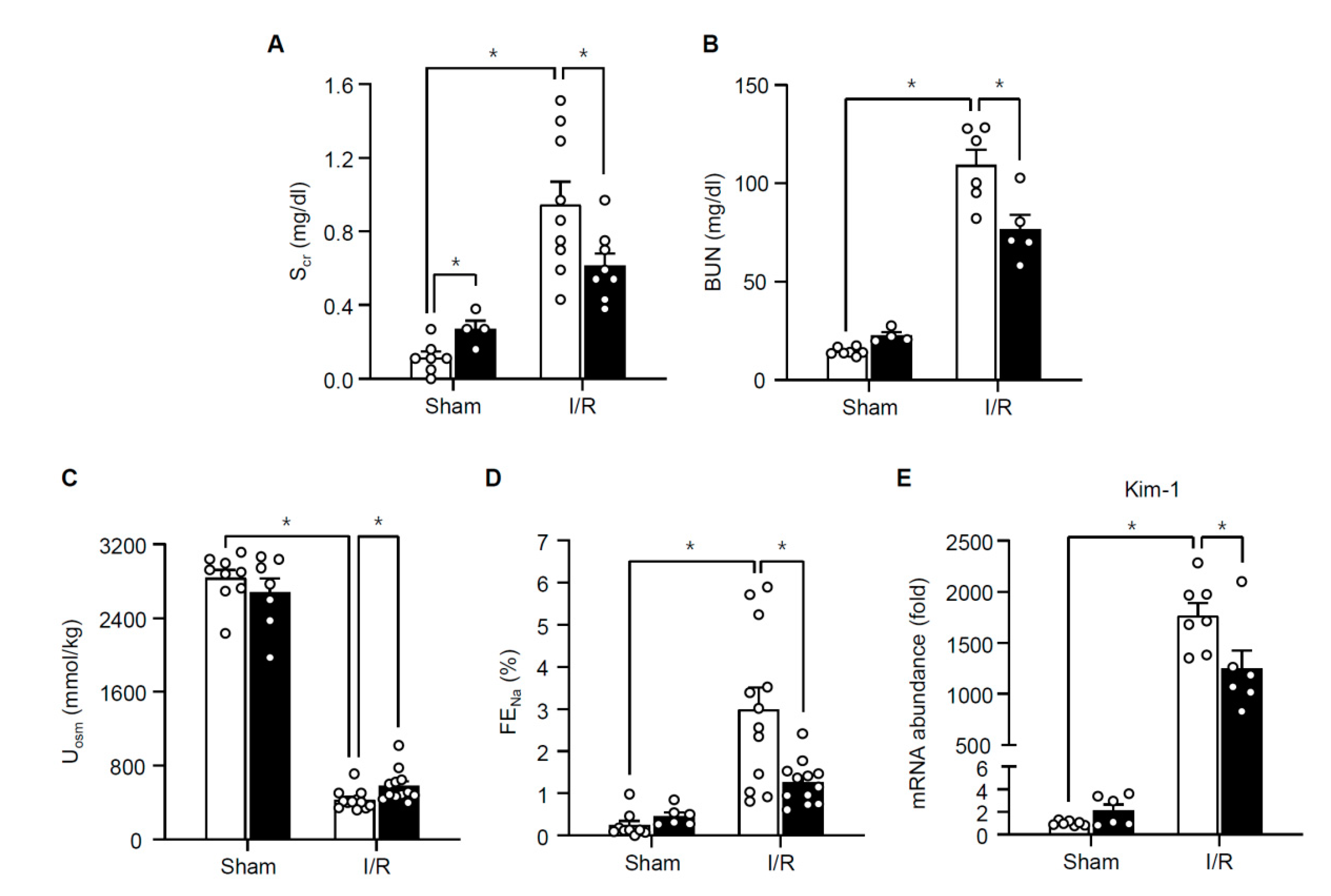 Cells 08 01284 g004 Cells 08 01284 g004