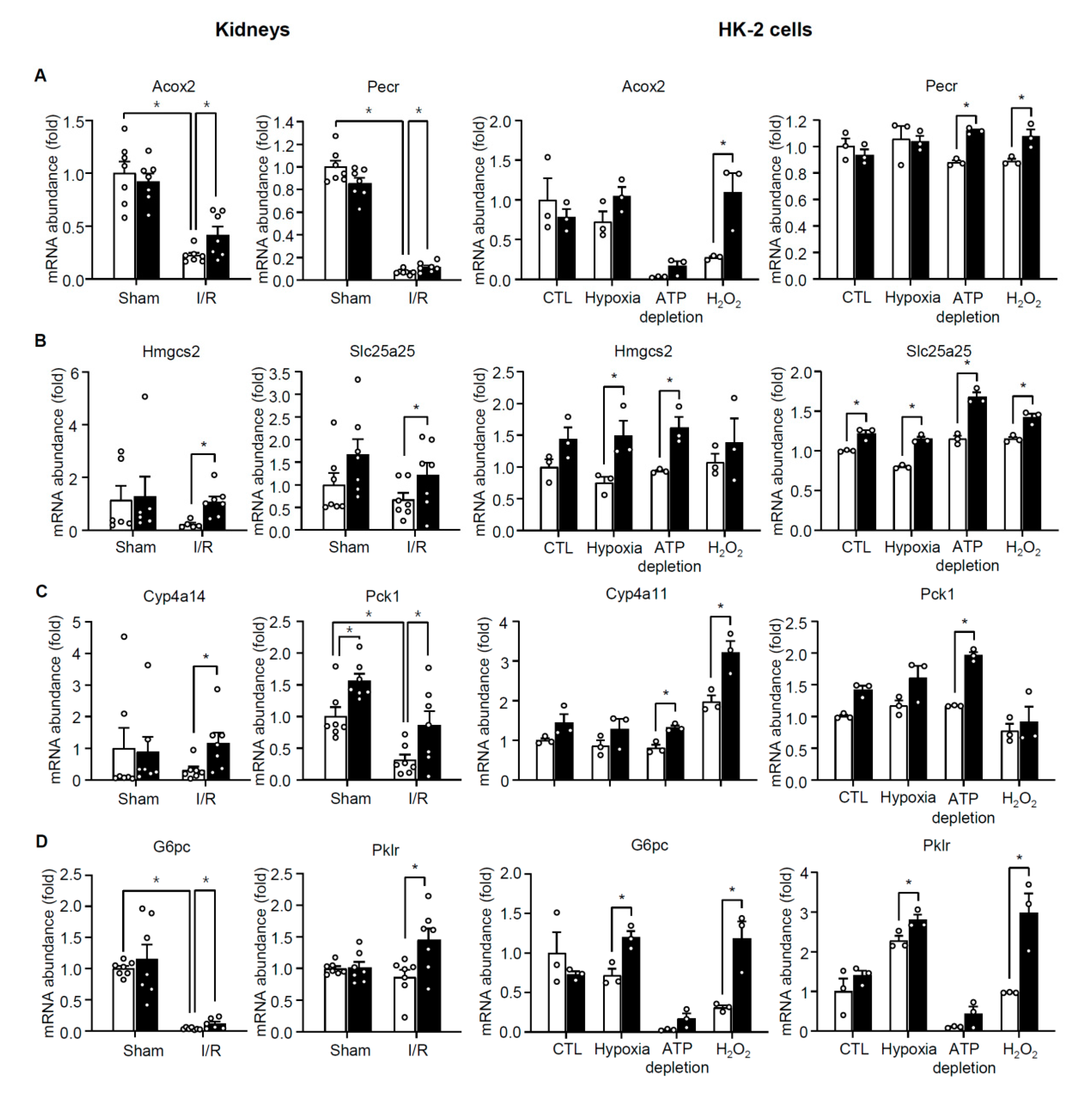 Cells 08 01284 g009 Cells 08 01284 g009