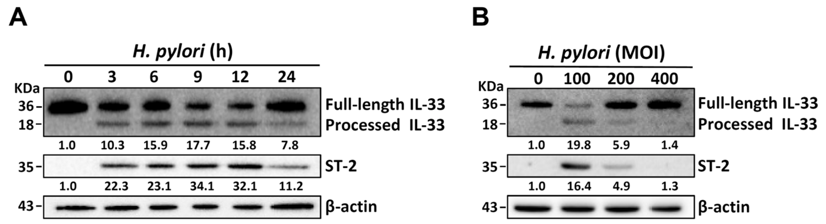 Cells 08 01290 g001 Cells 08 01290 g001