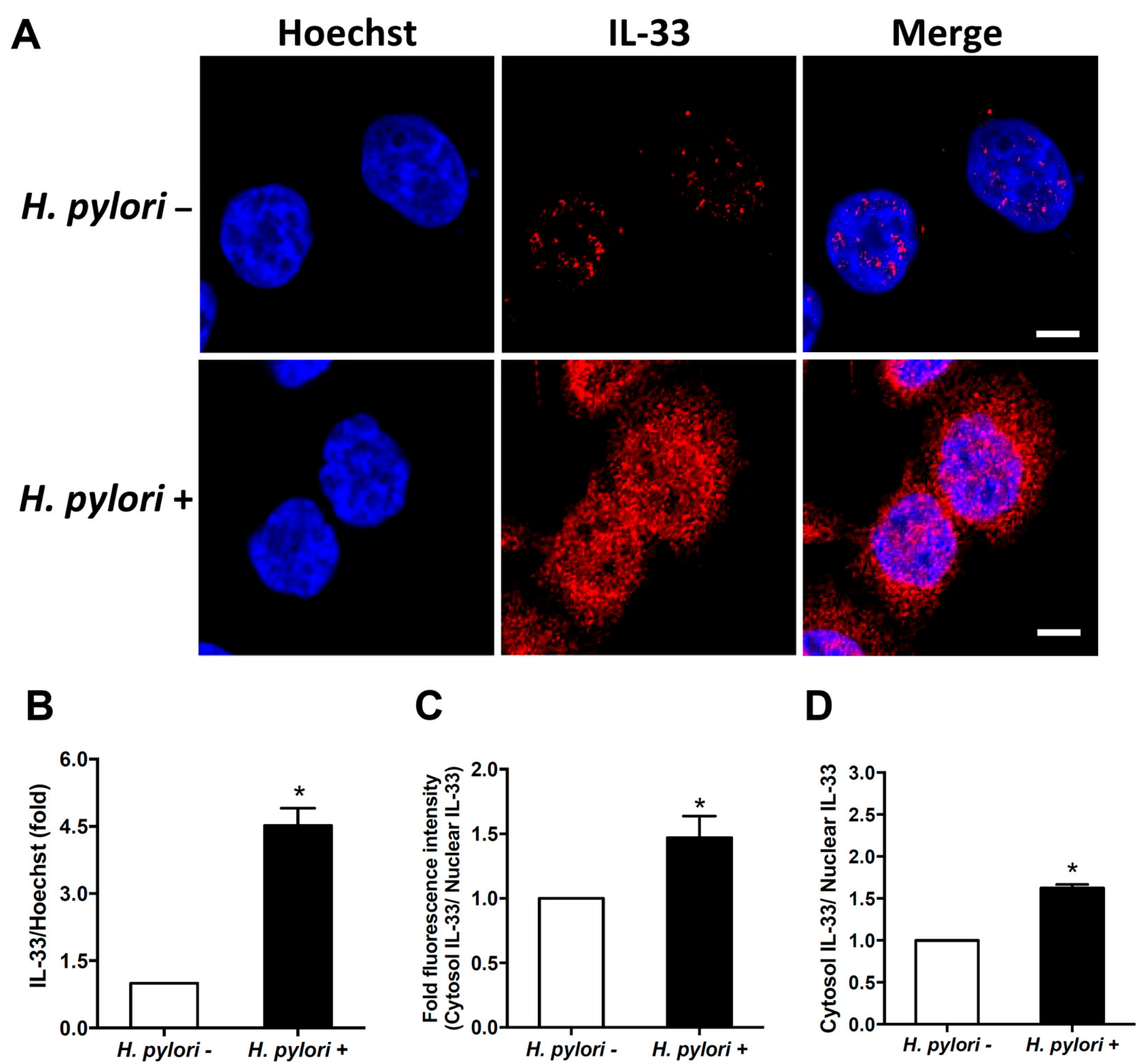 Cells 08 01290 g002 Cells 08 01290 g002
