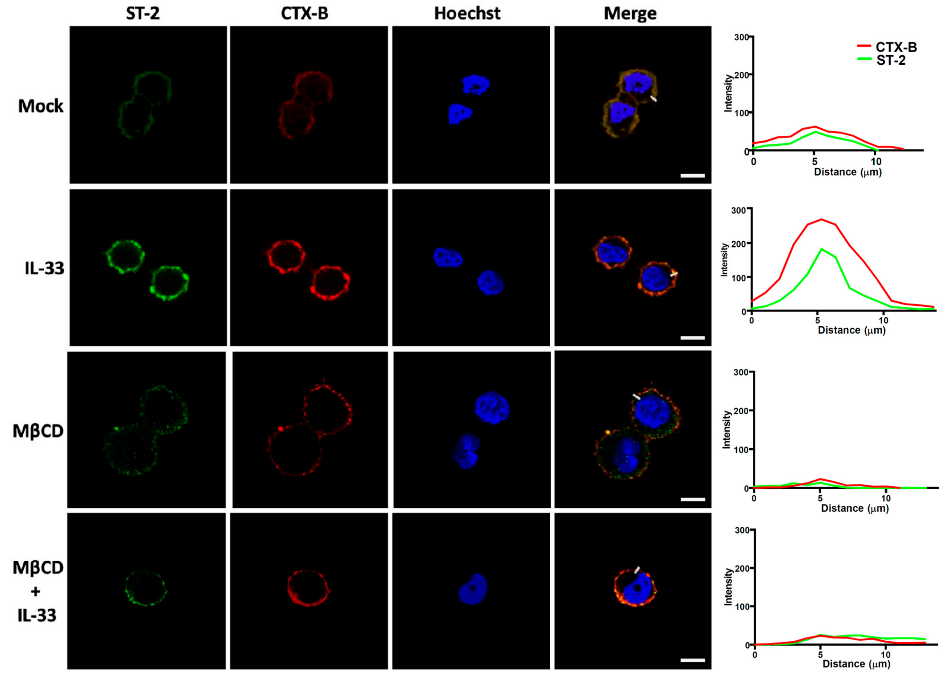 Cells 08 01290 g005 Cells 08 01290 g005