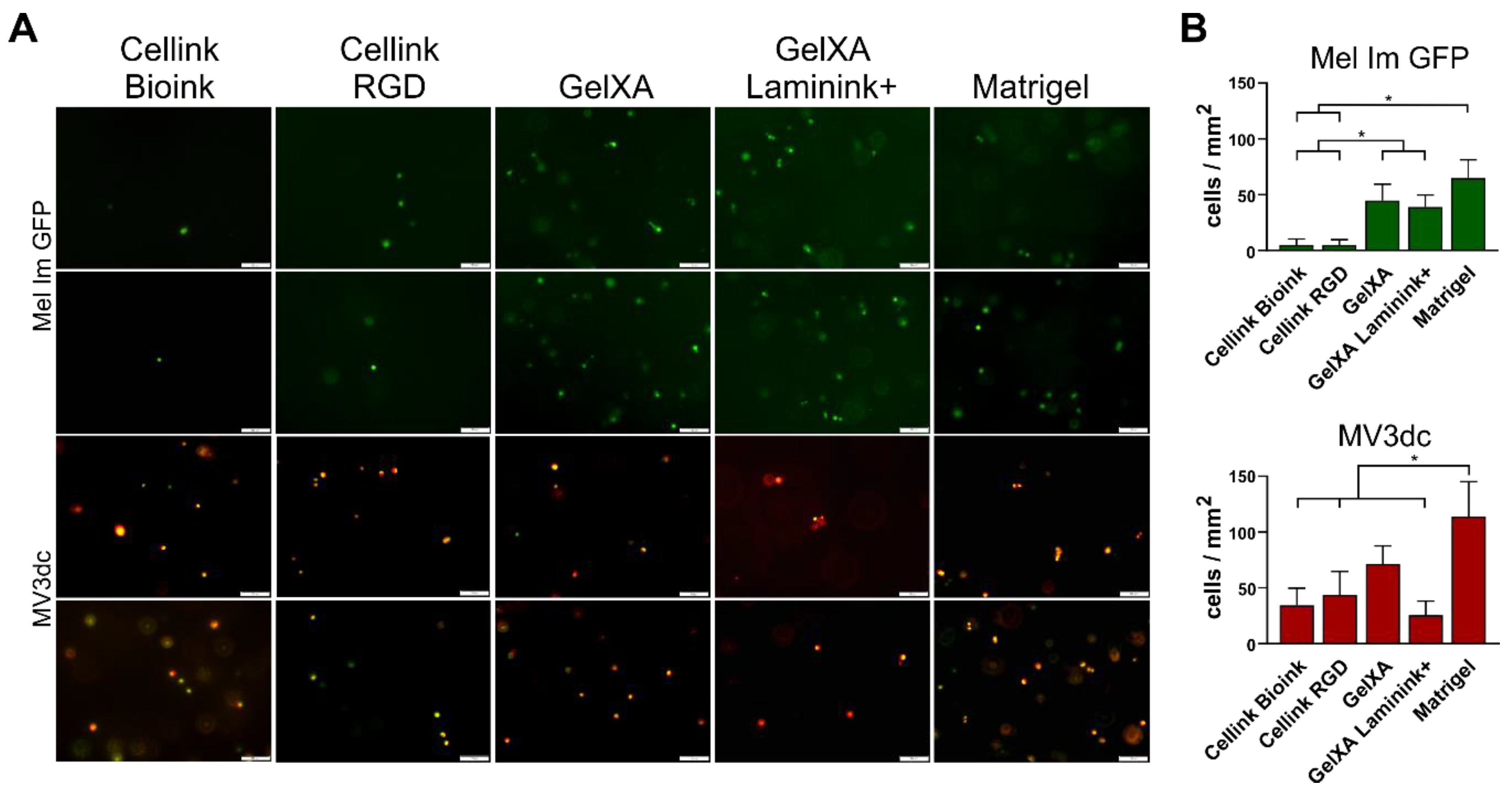Cells 08 01295 g002 Cells 08 01295 g002
