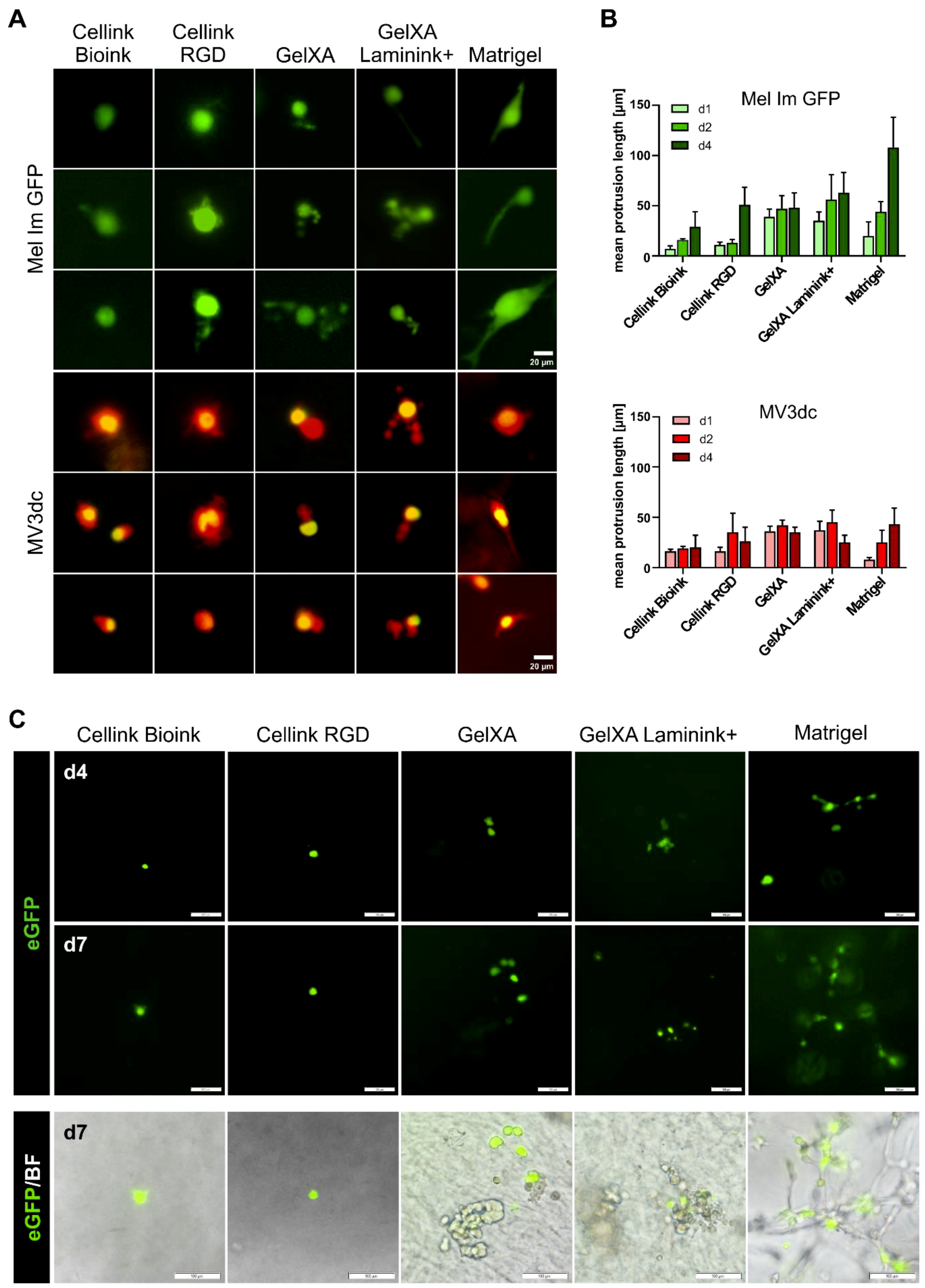 Cells 08 01295 g003 Cells 08 01295 g003