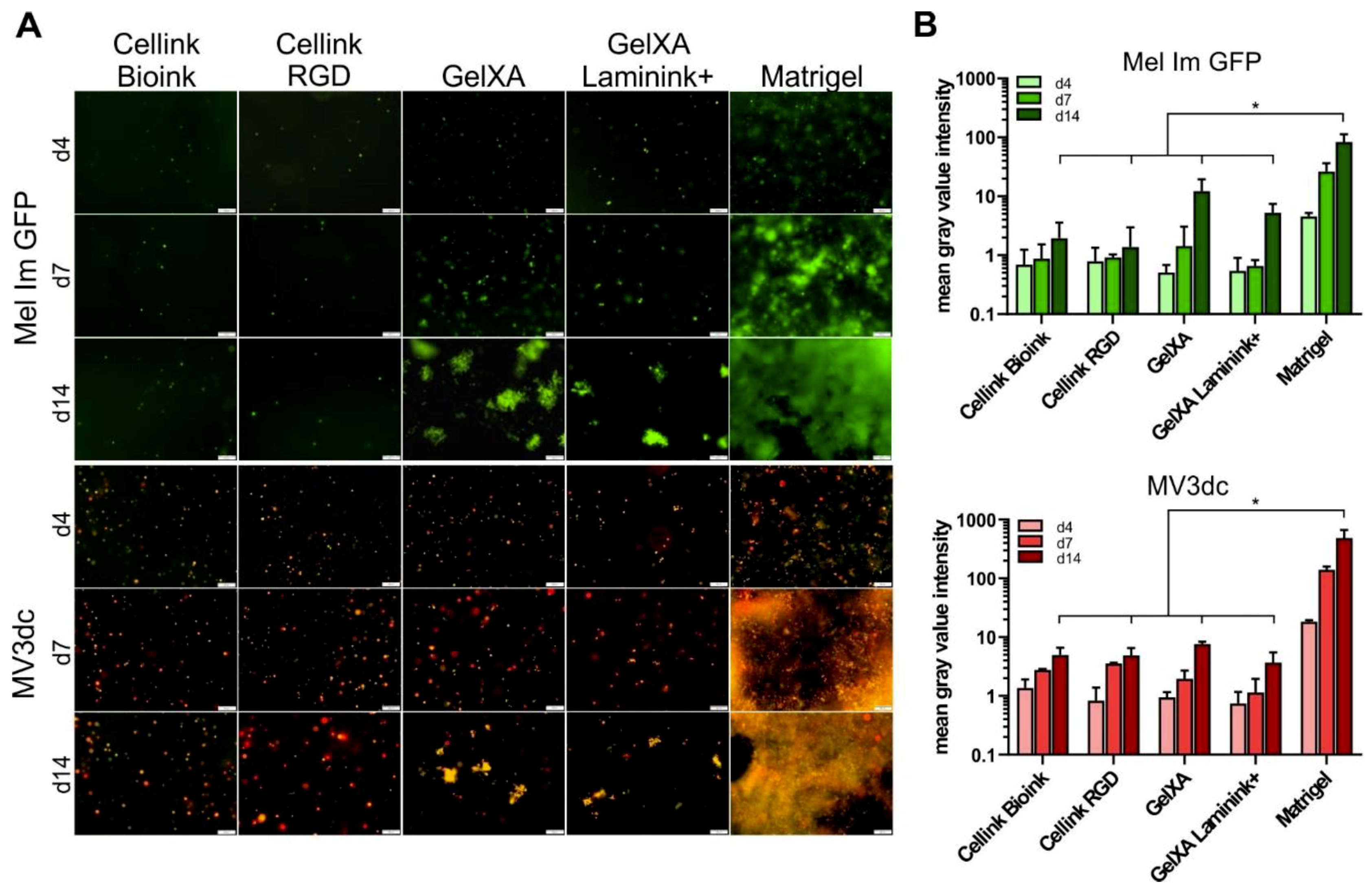 Cells 08 01295 g004 Cells 08 01295 g004