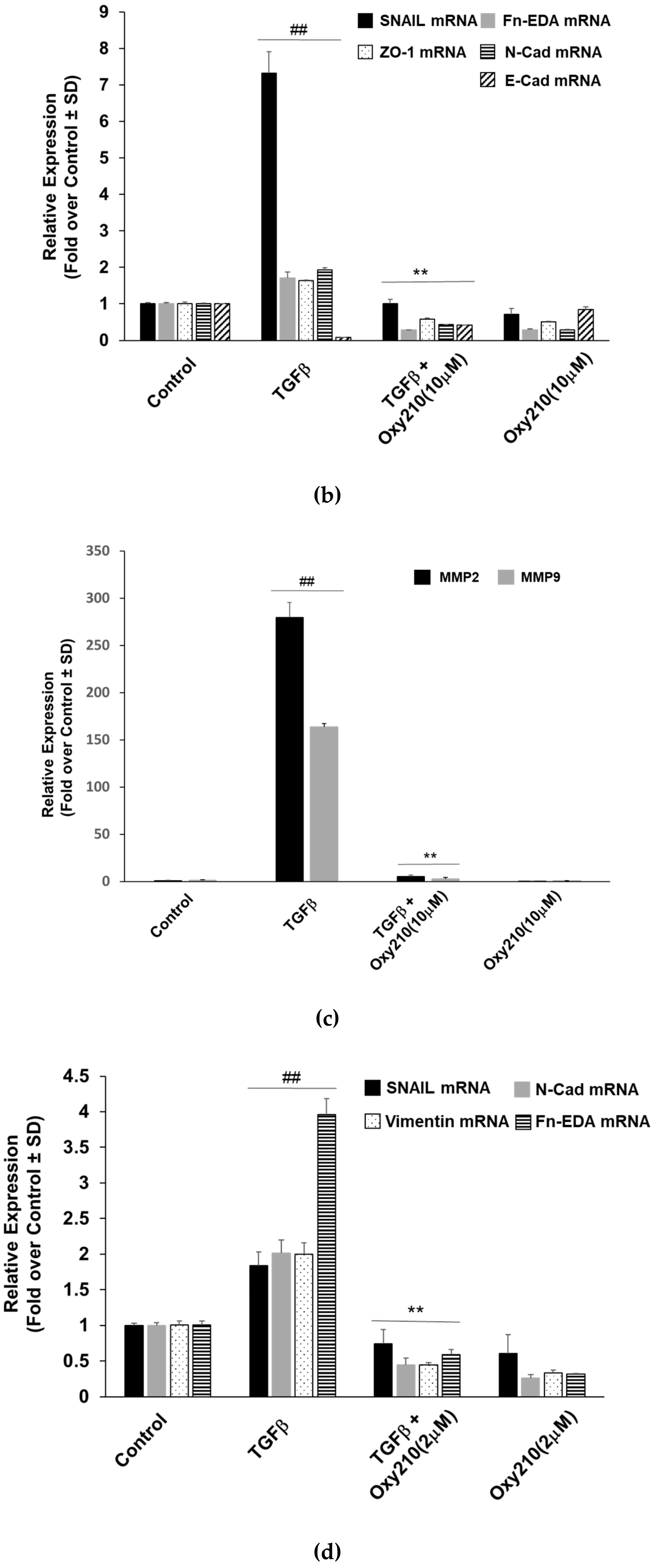 Cells 08 01297 g008b