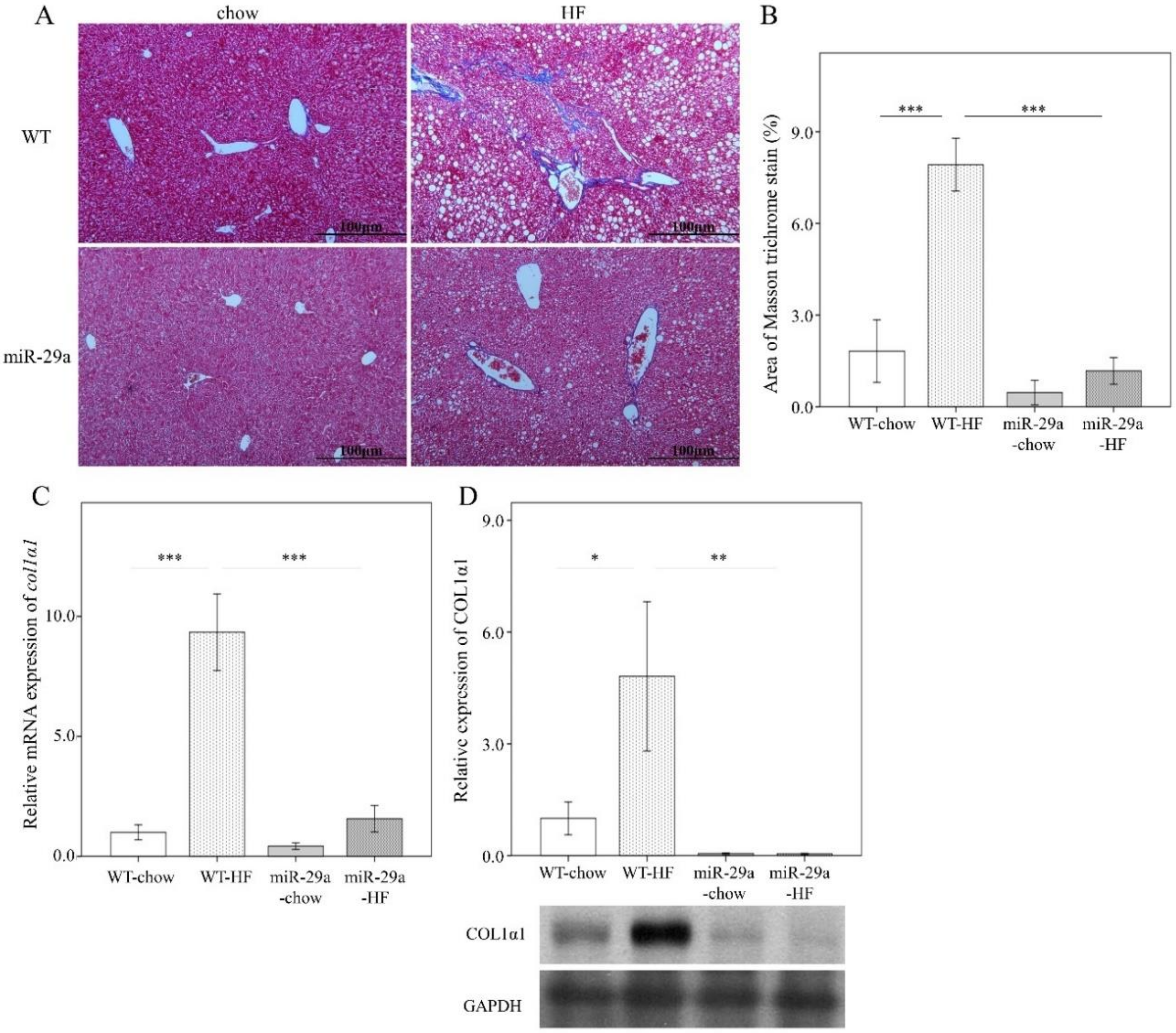 imagej quantify he staining imagej quantify he staining