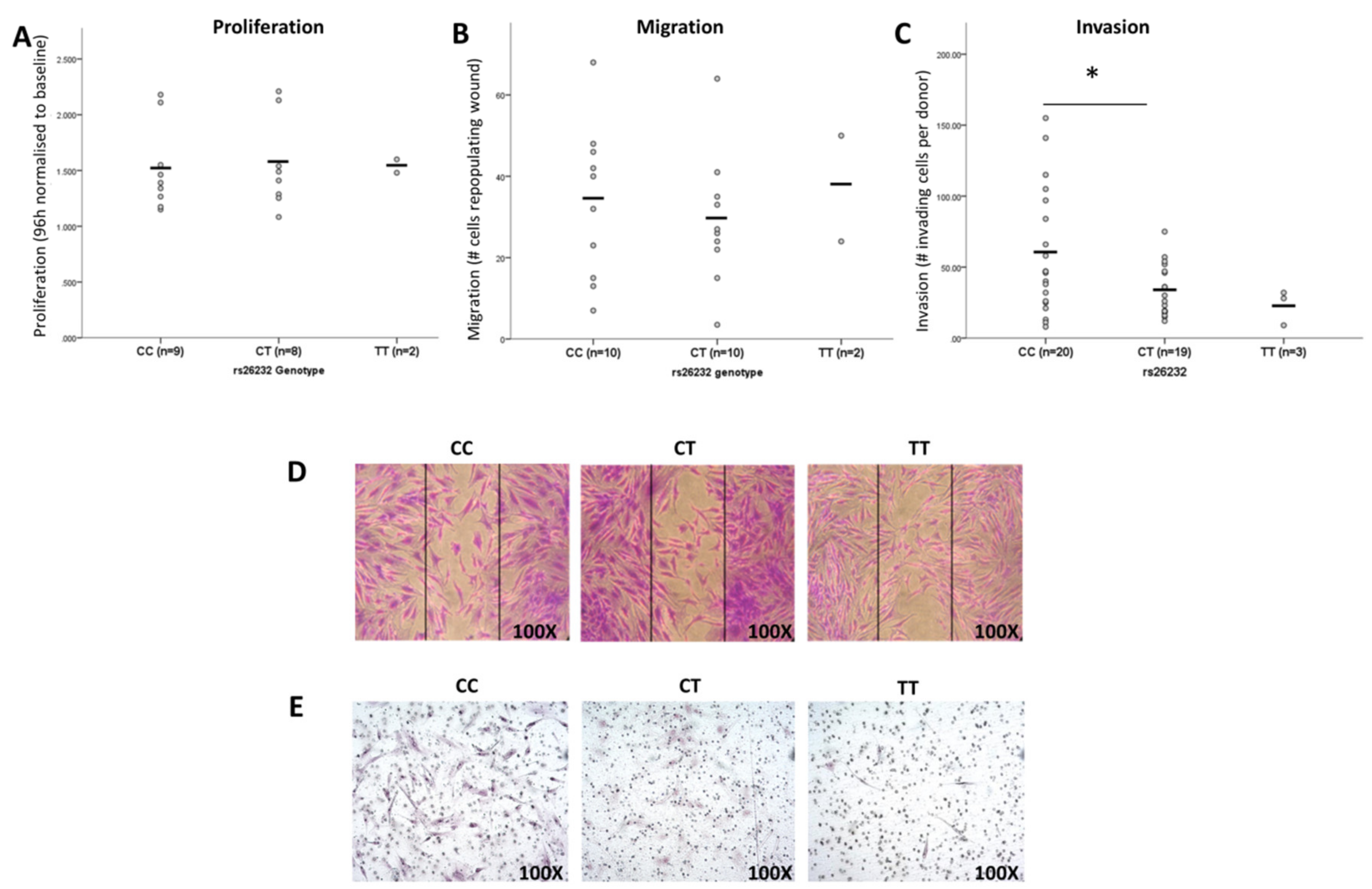 Cells 08 01300 g001 Cells 08 01300 g001