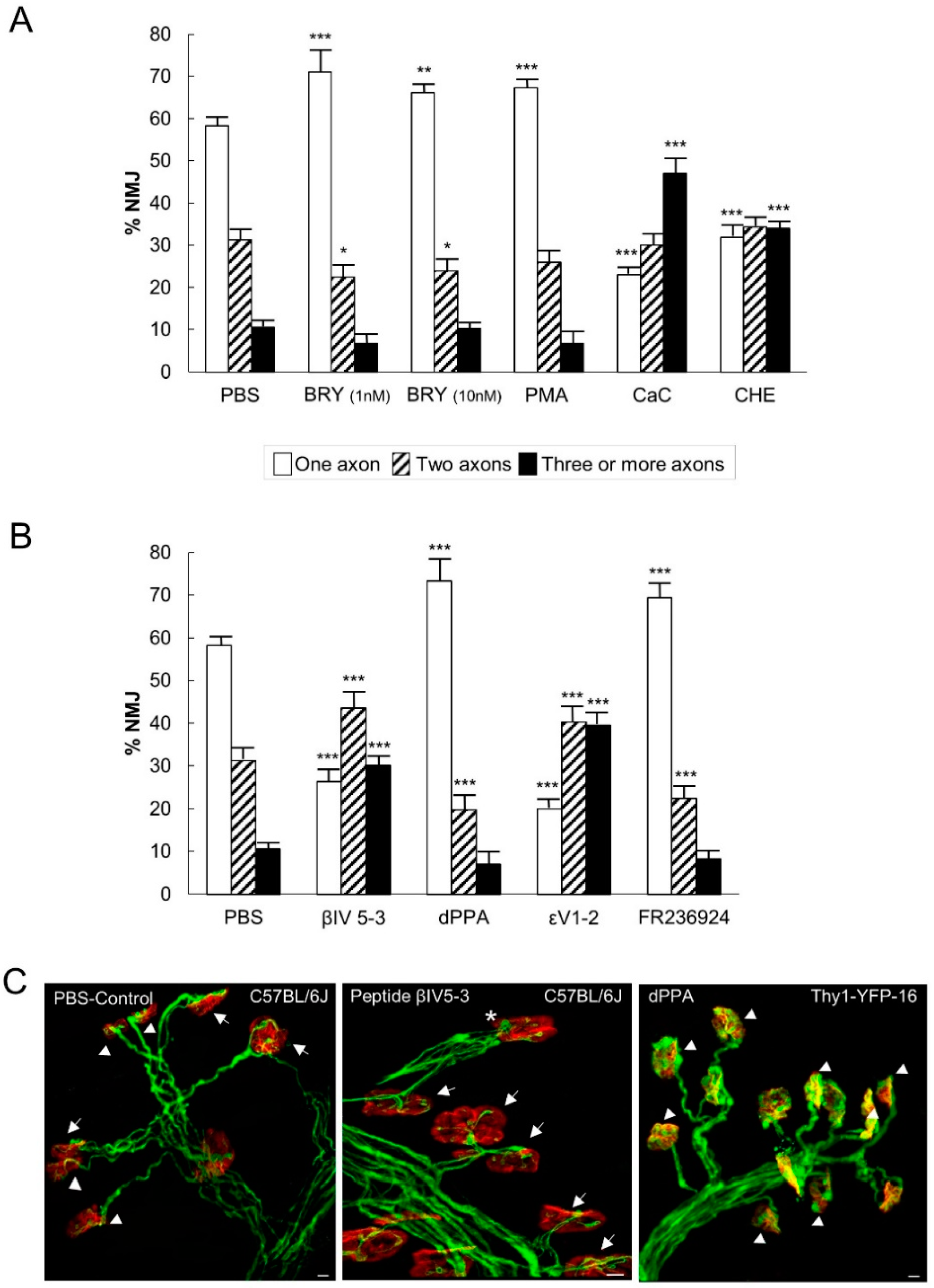 Cells 08 01304 g004 Cells 08 01304 g004