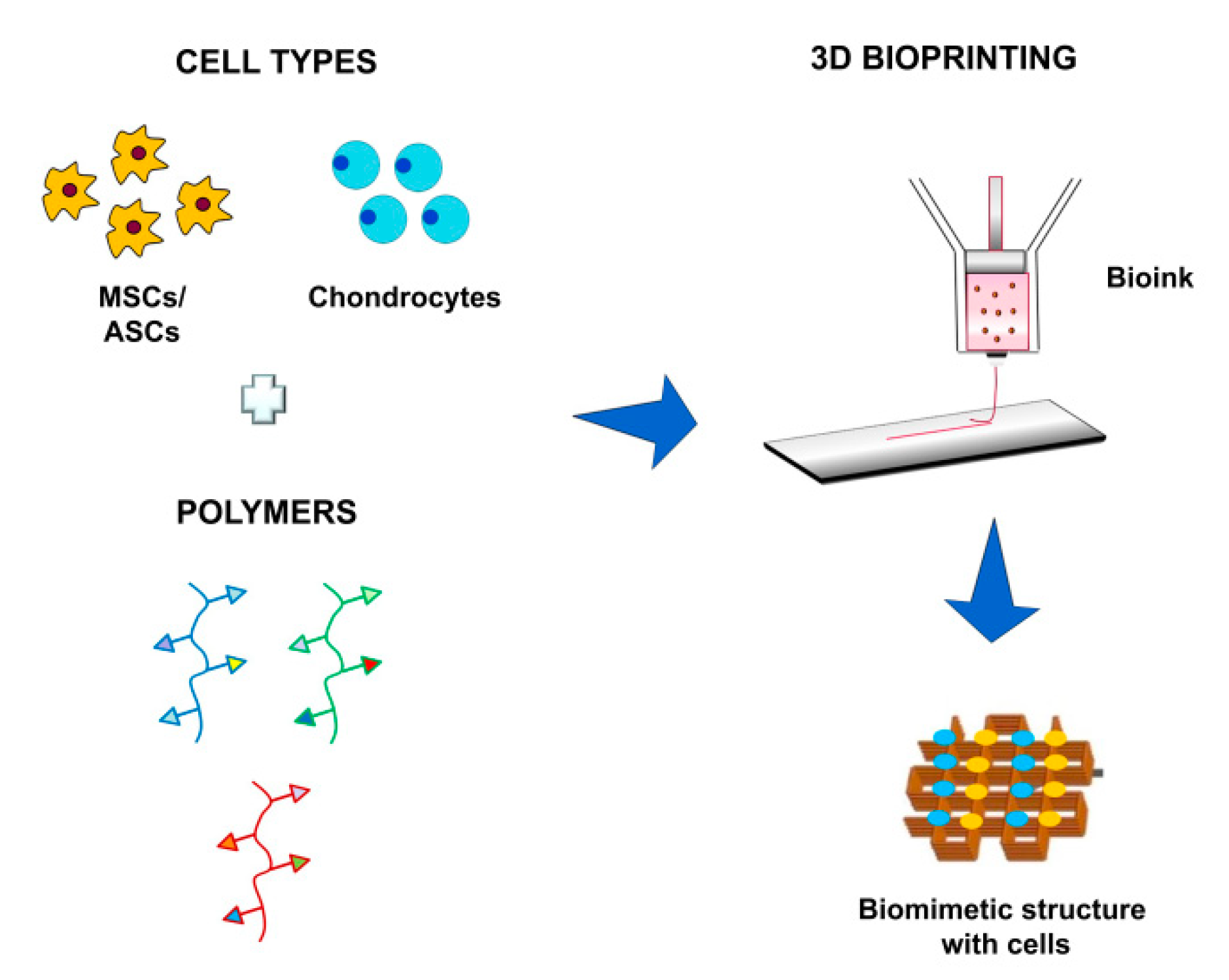 Cells 08 01305 g004 Cells 08 01305 g004