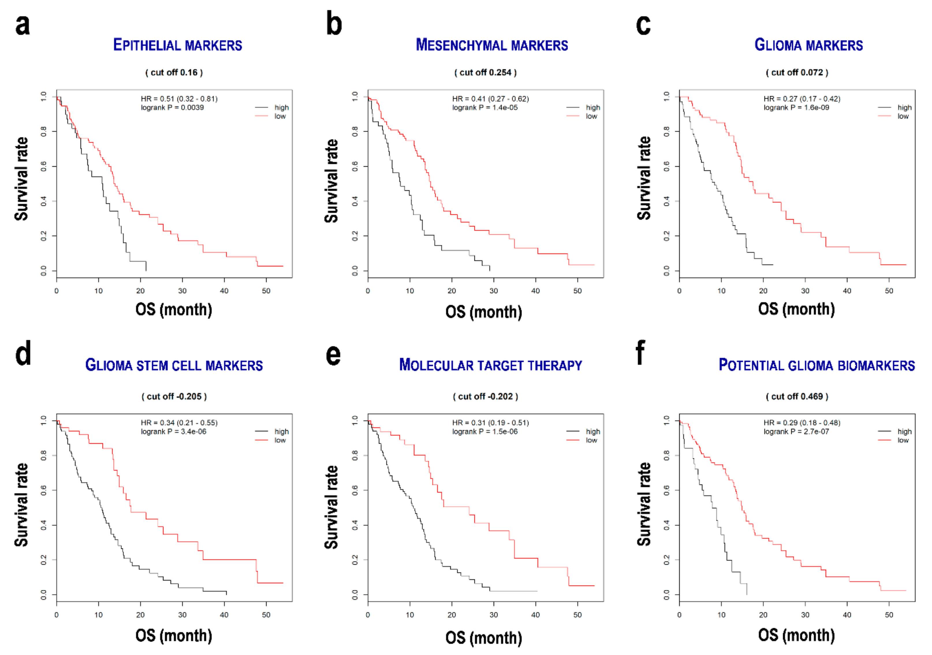 Cells 08 01312 g002 Cells 08 01312 g002
