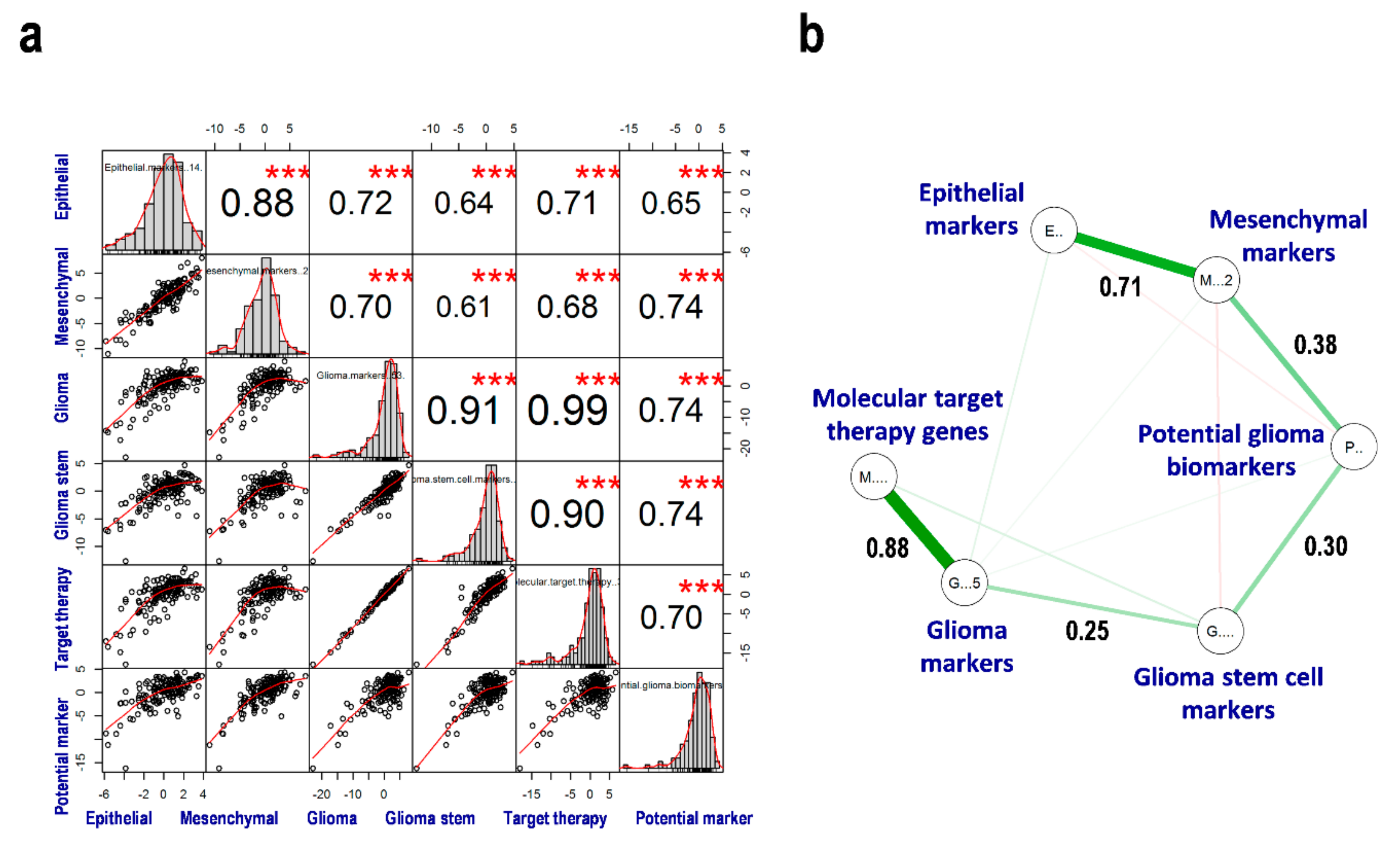 Cells 08 01312 g004 Cells 08 01312 g004