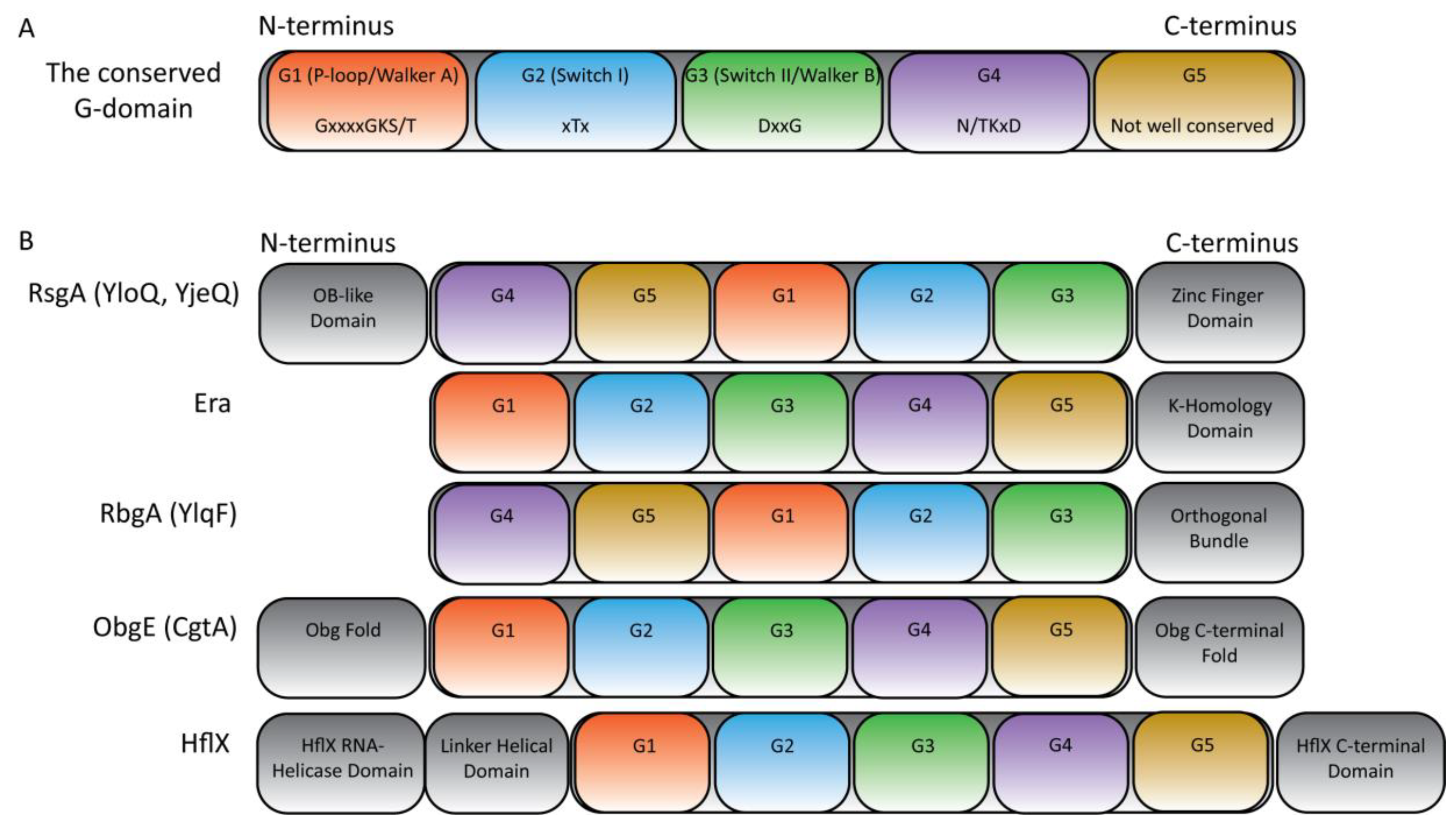 Cells 08 01313 g002 Cells 08 01313 g002