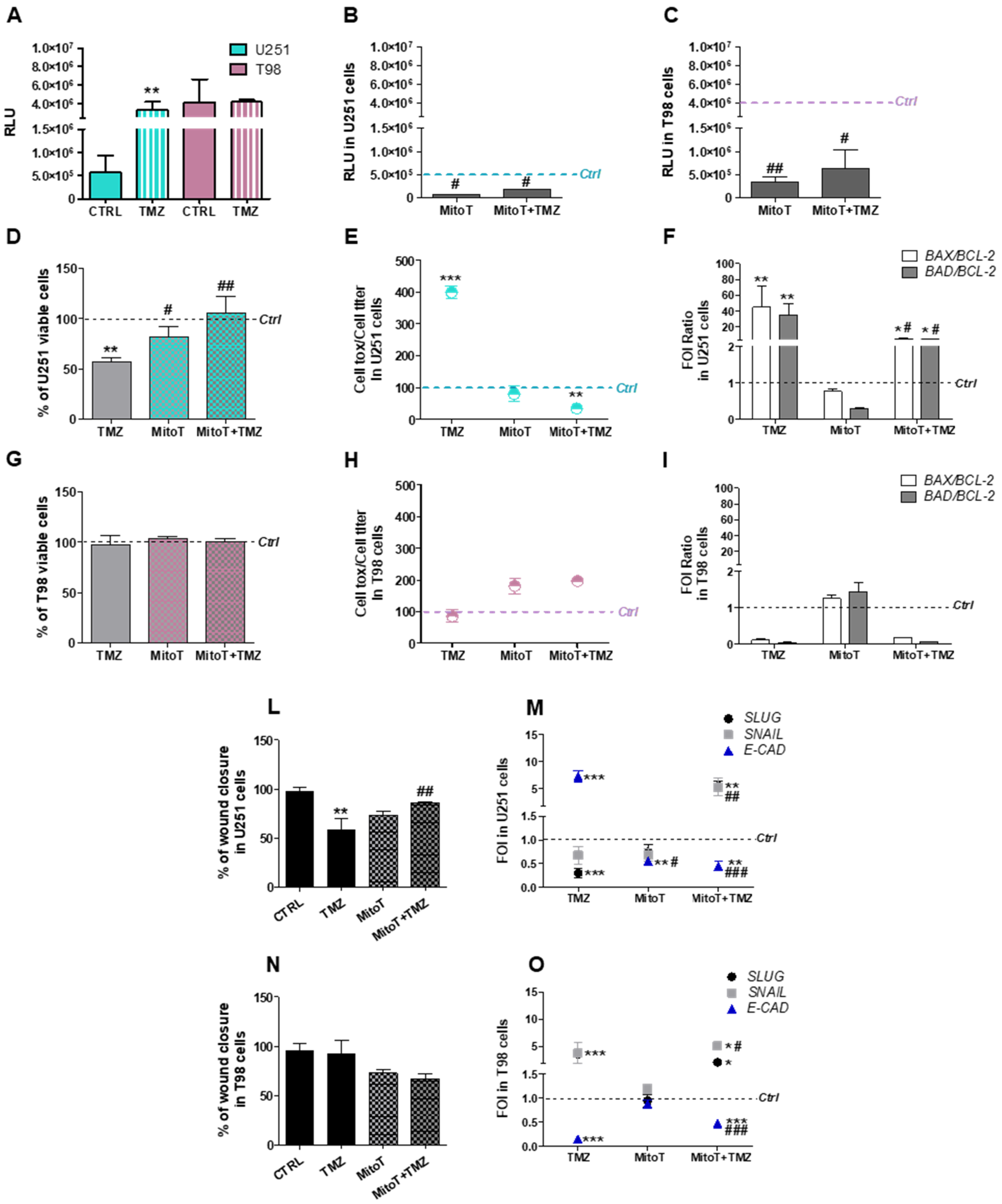 Cells 08 01315 g001 Cells 08 01315 g001