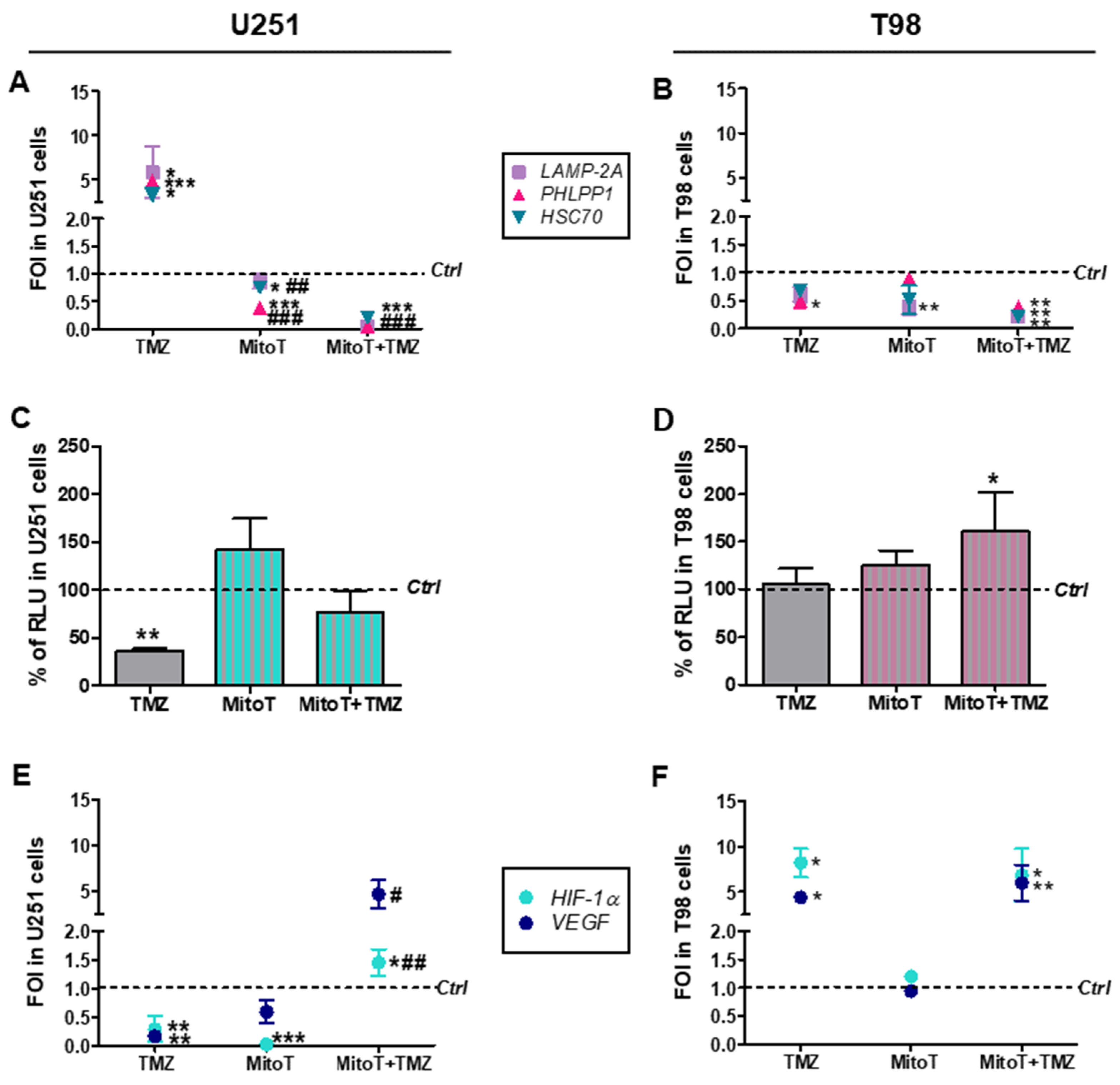 Cells 08 01315 g002 Cells 08 01315 g002