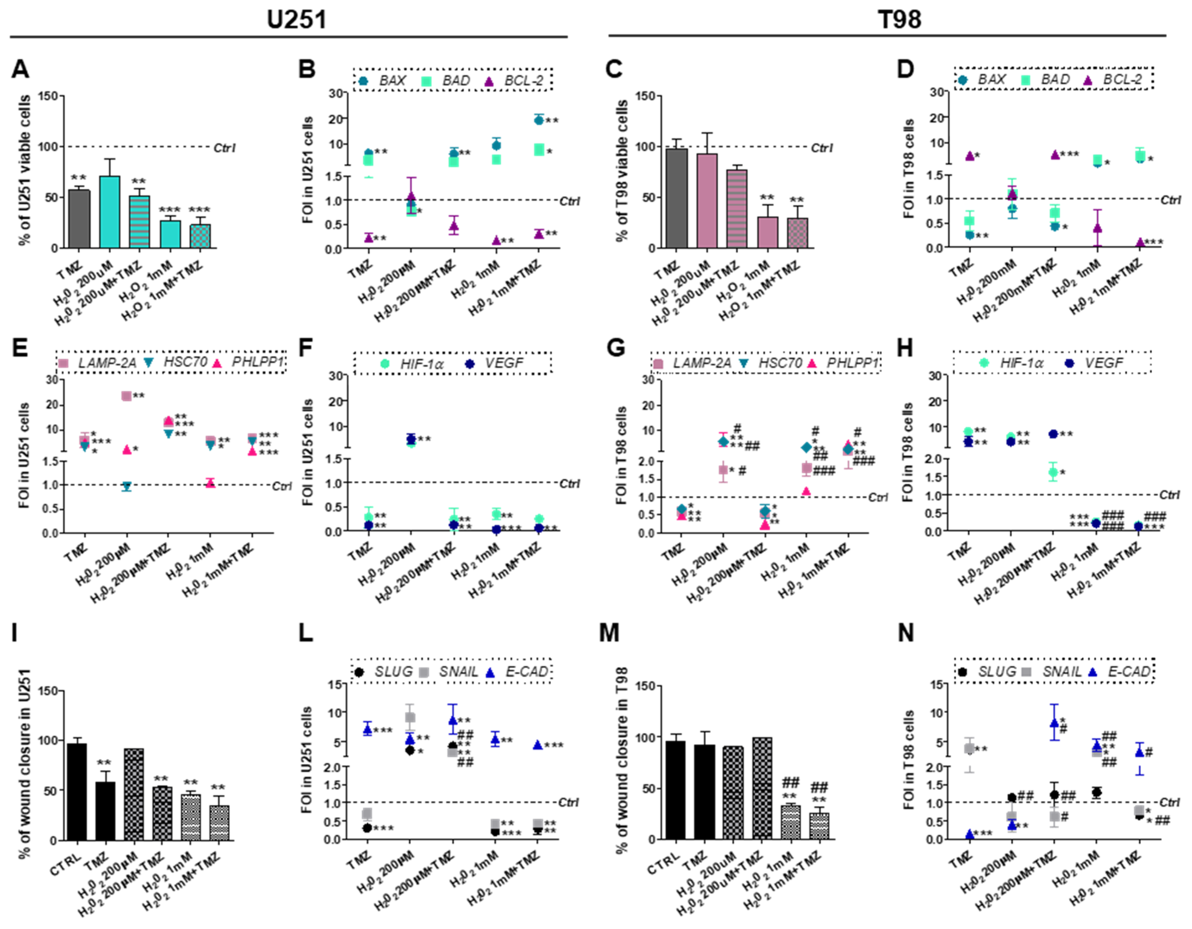 Cells 08 01315 g005 Cells 08 01315 g005