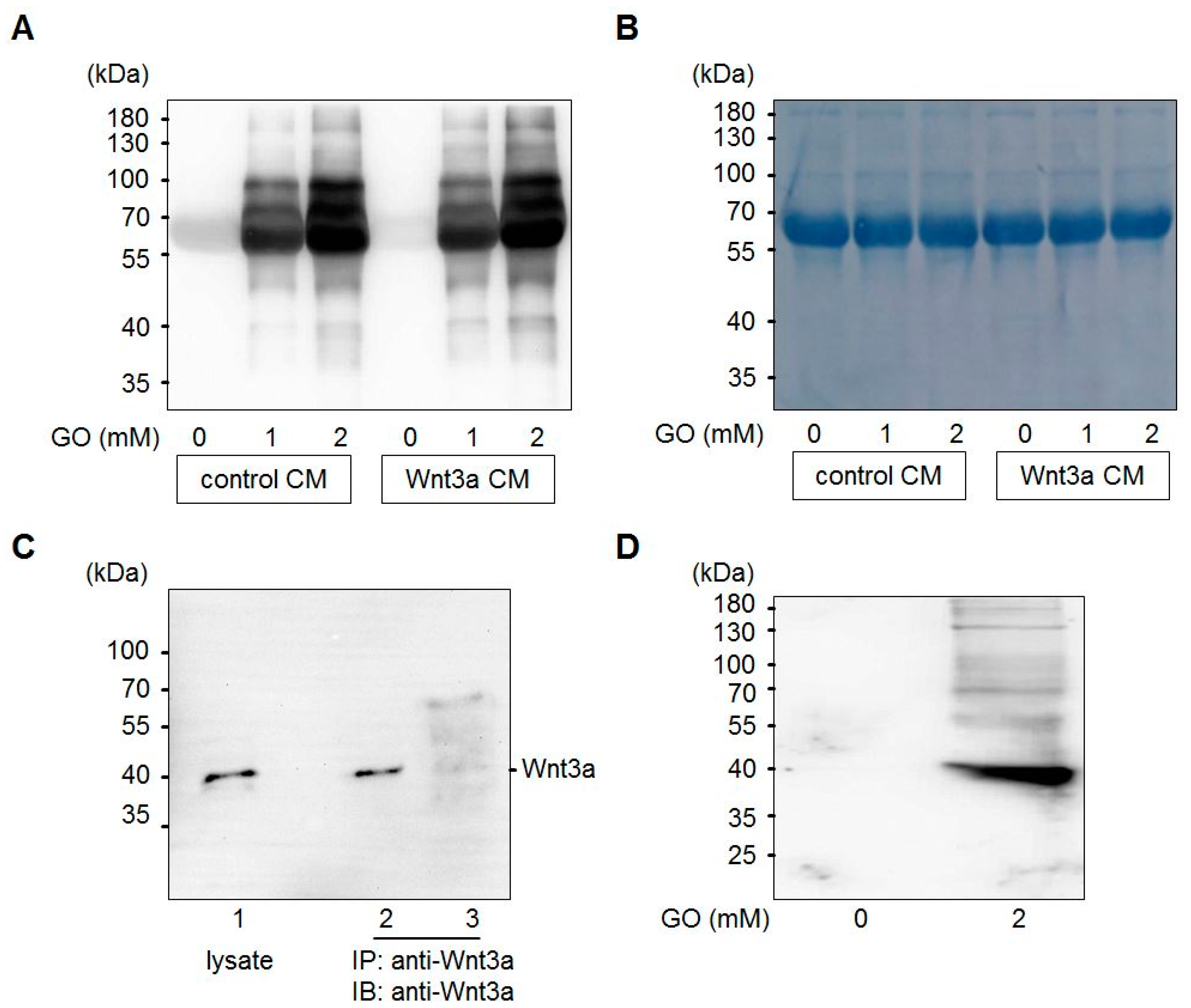 Cells 08 01320 g002
