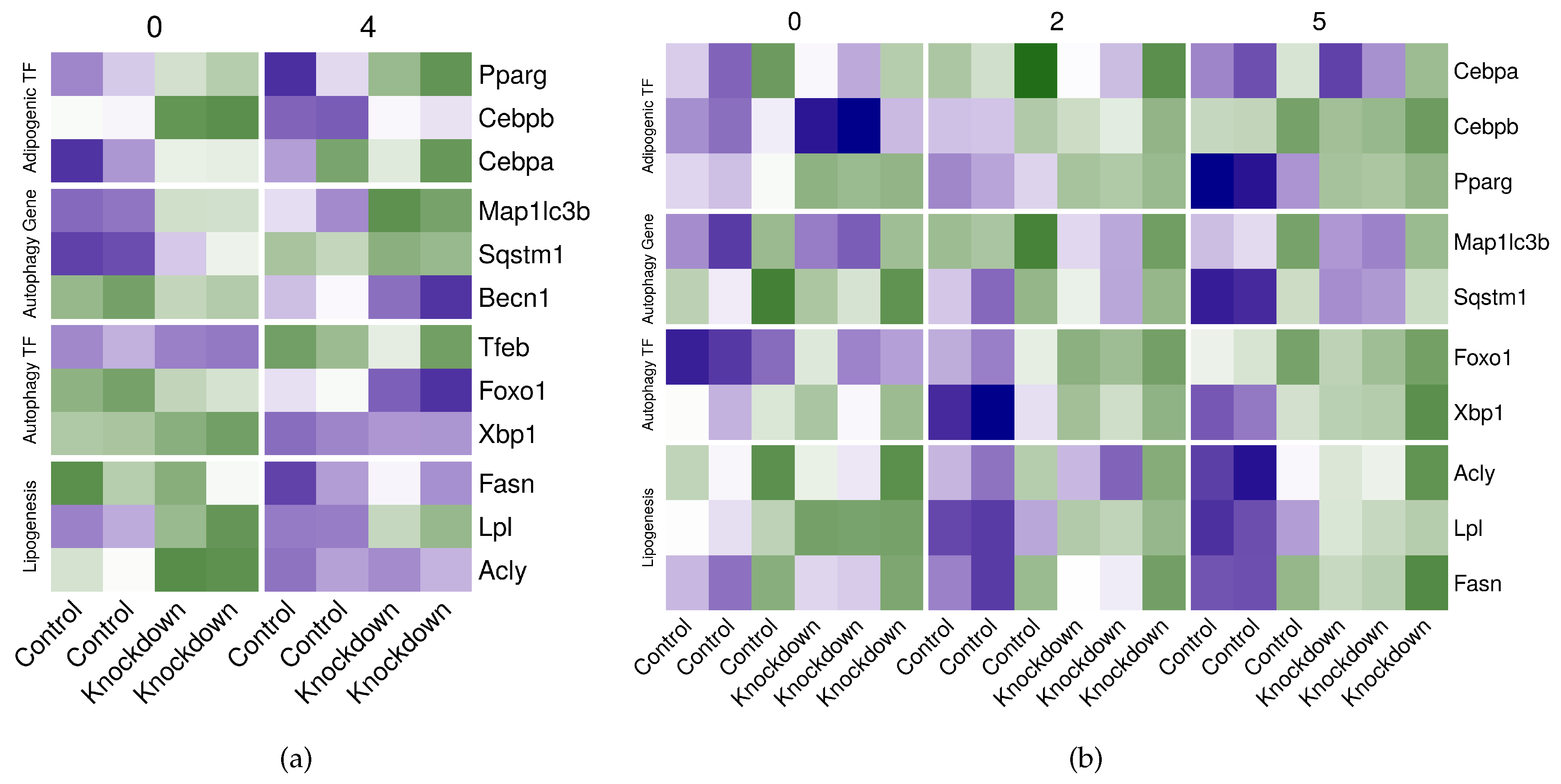 Cells 08 01321 g009 Cells 08 01321 g009