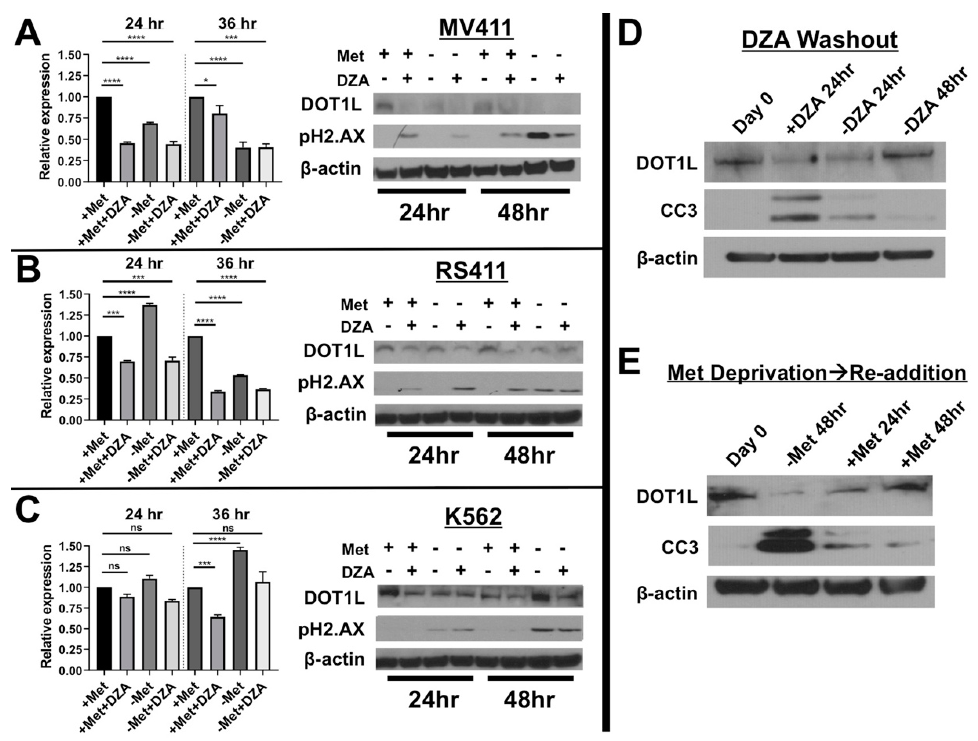 Cells 08 01322 g003