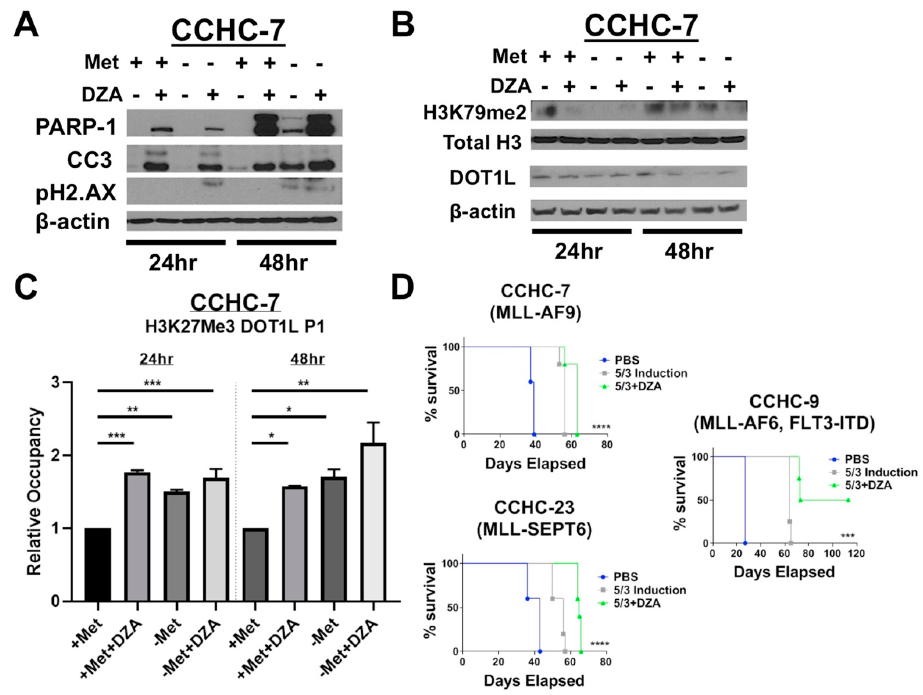 Cells 08 01322 g005