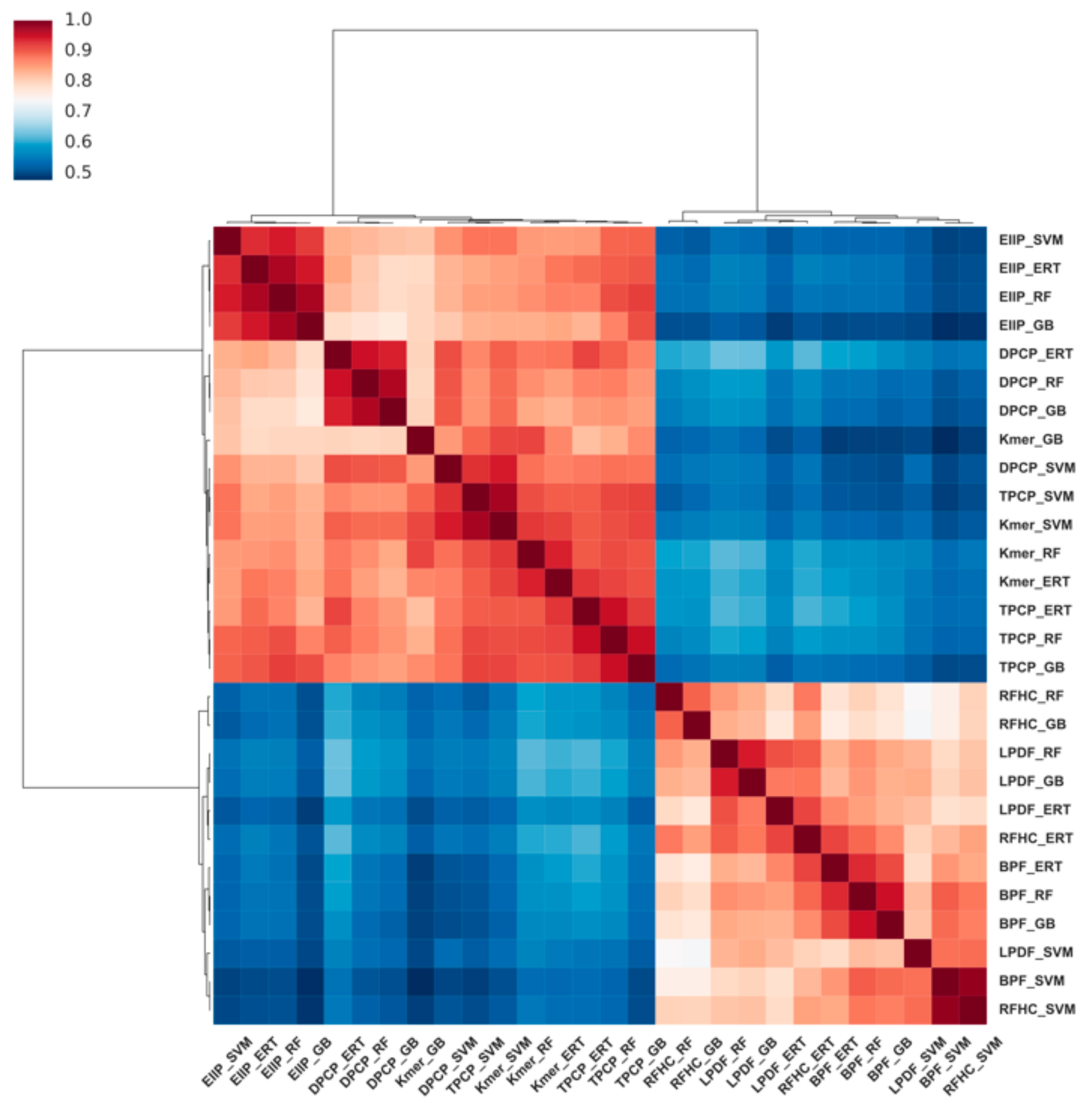 Cells | Free Full-Text | 4mCpred-EL: An Ensemble Learning Framework for ...