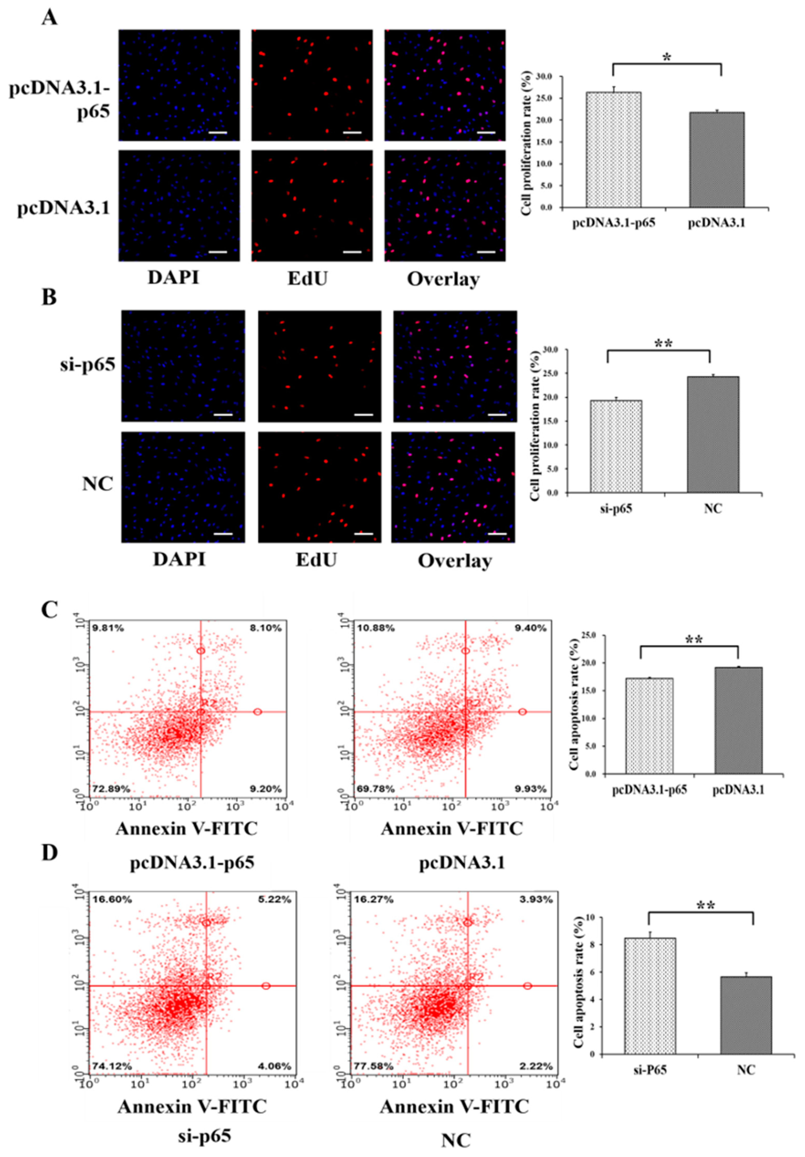Cells 08 01334 g003