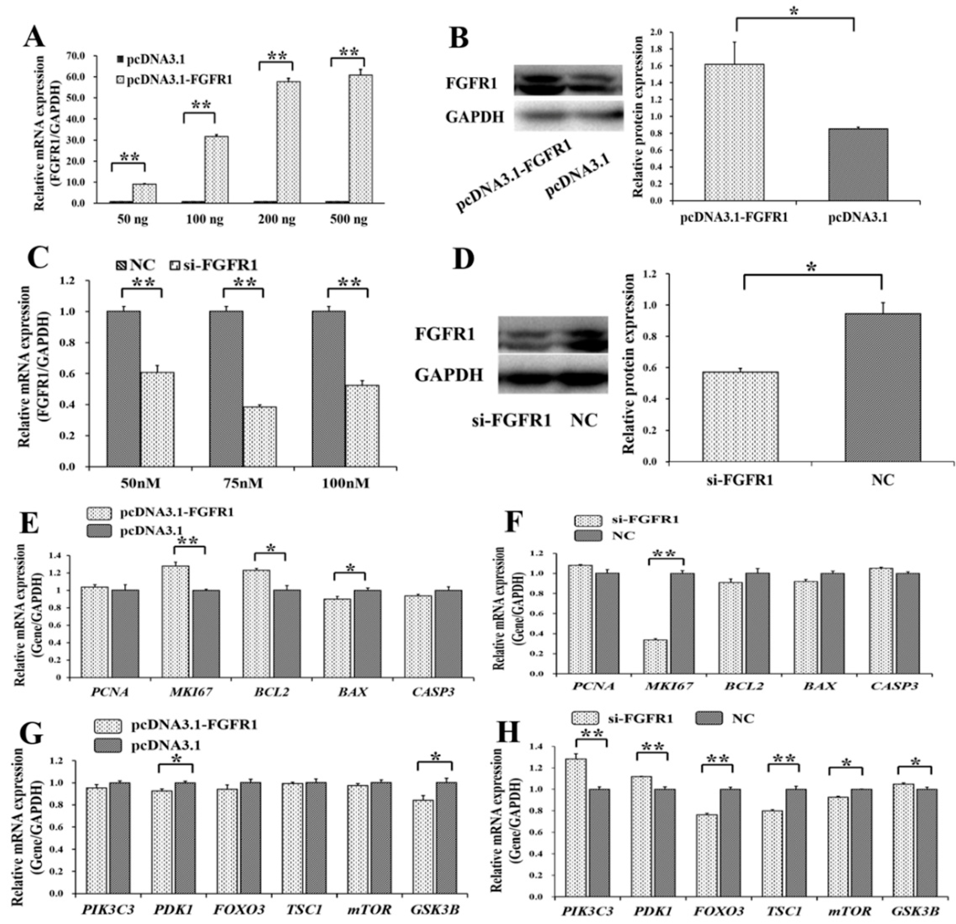 Cells 08 01334 g005