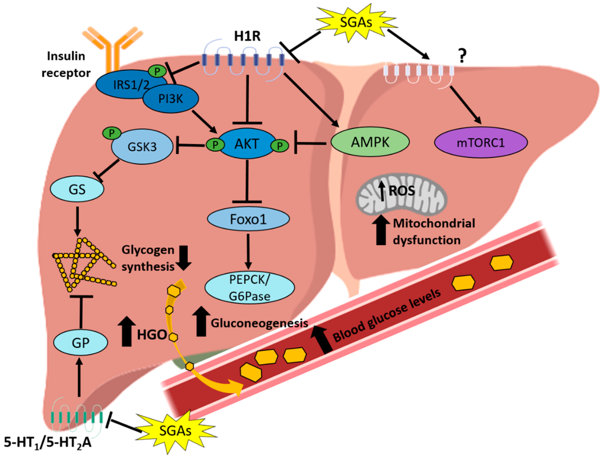 Cells 08 01336 g002 Cells 08 01336 g002