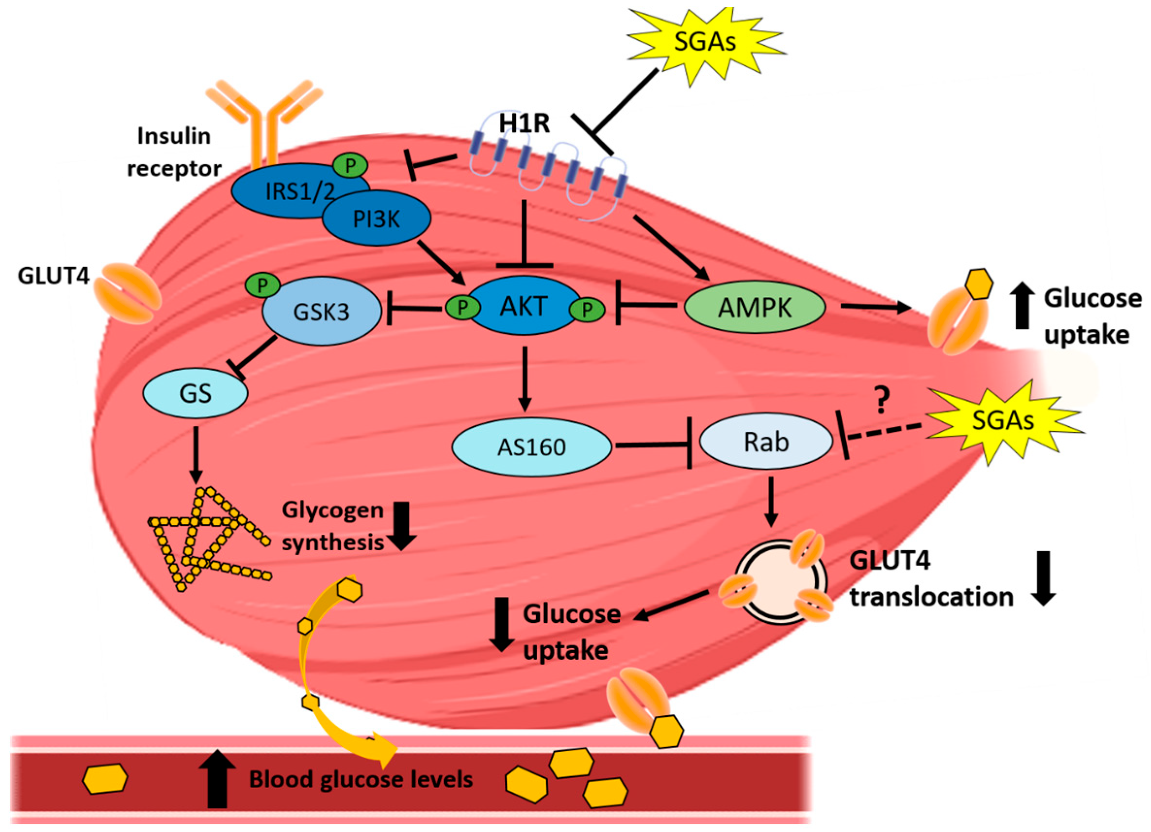 Cells 08 01336 g003 Cells 08 01336 g003