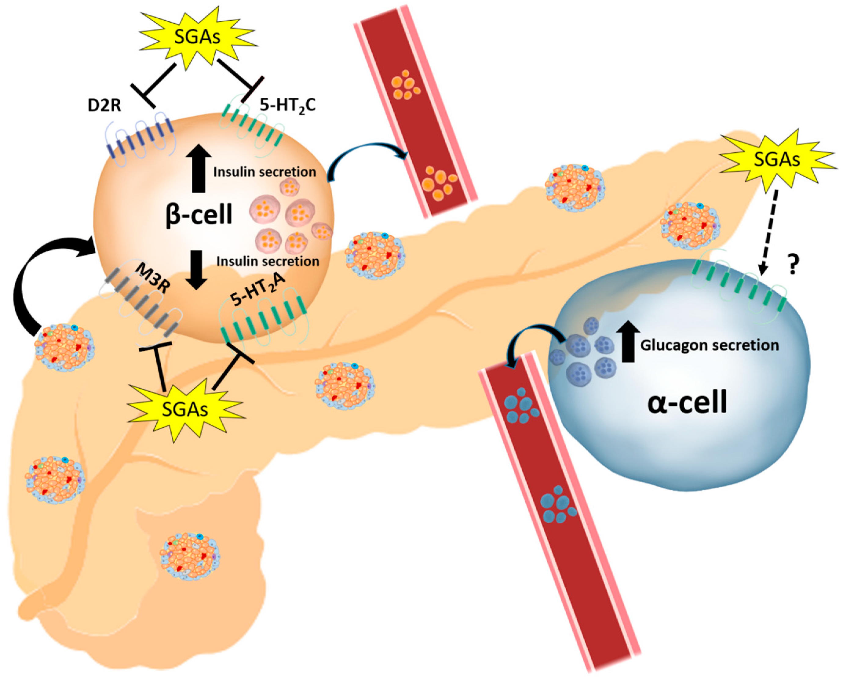 Cells 08 01336 g004 Cells 08 01336 g004