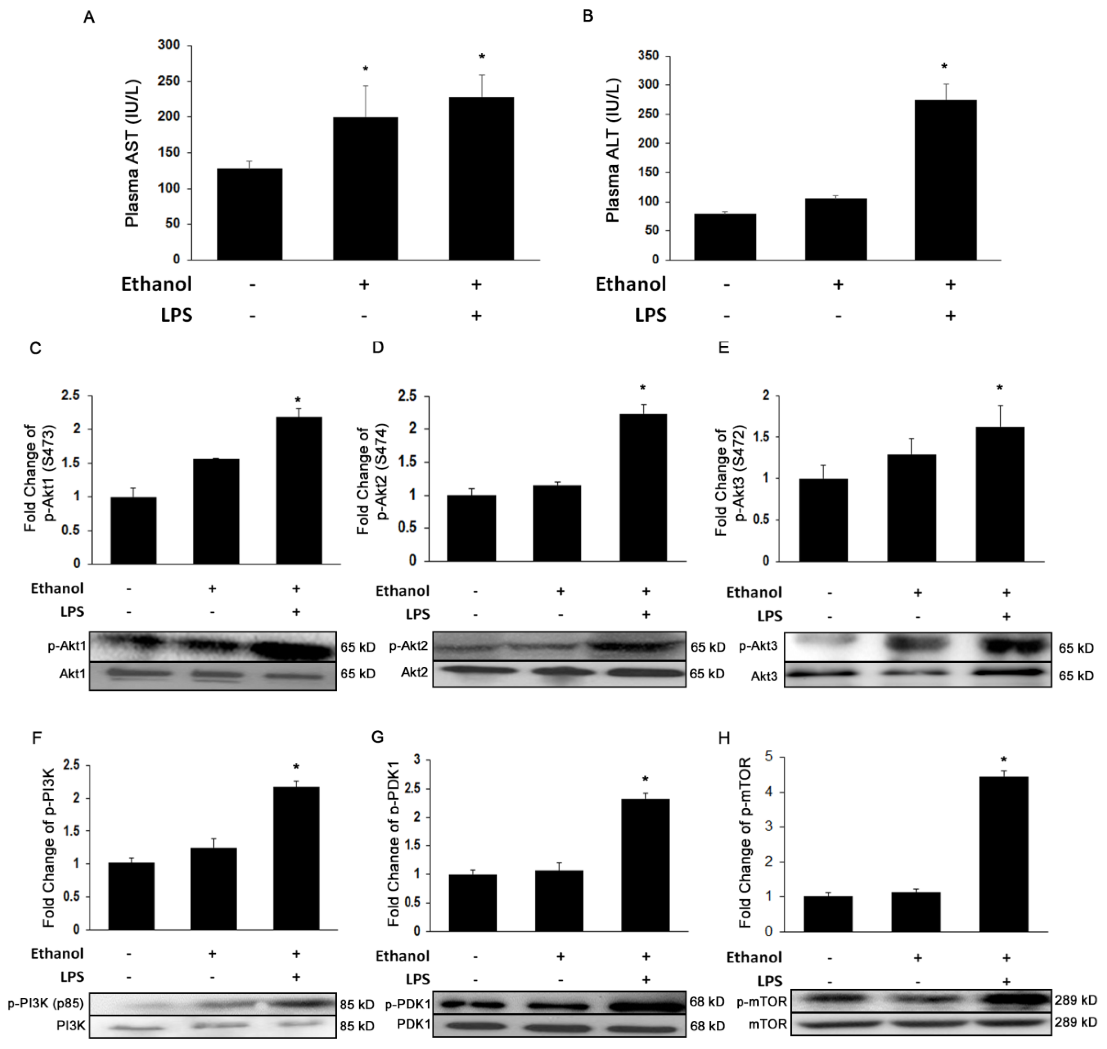 Cells 08 01337 g001 Cells 08 01337 g001