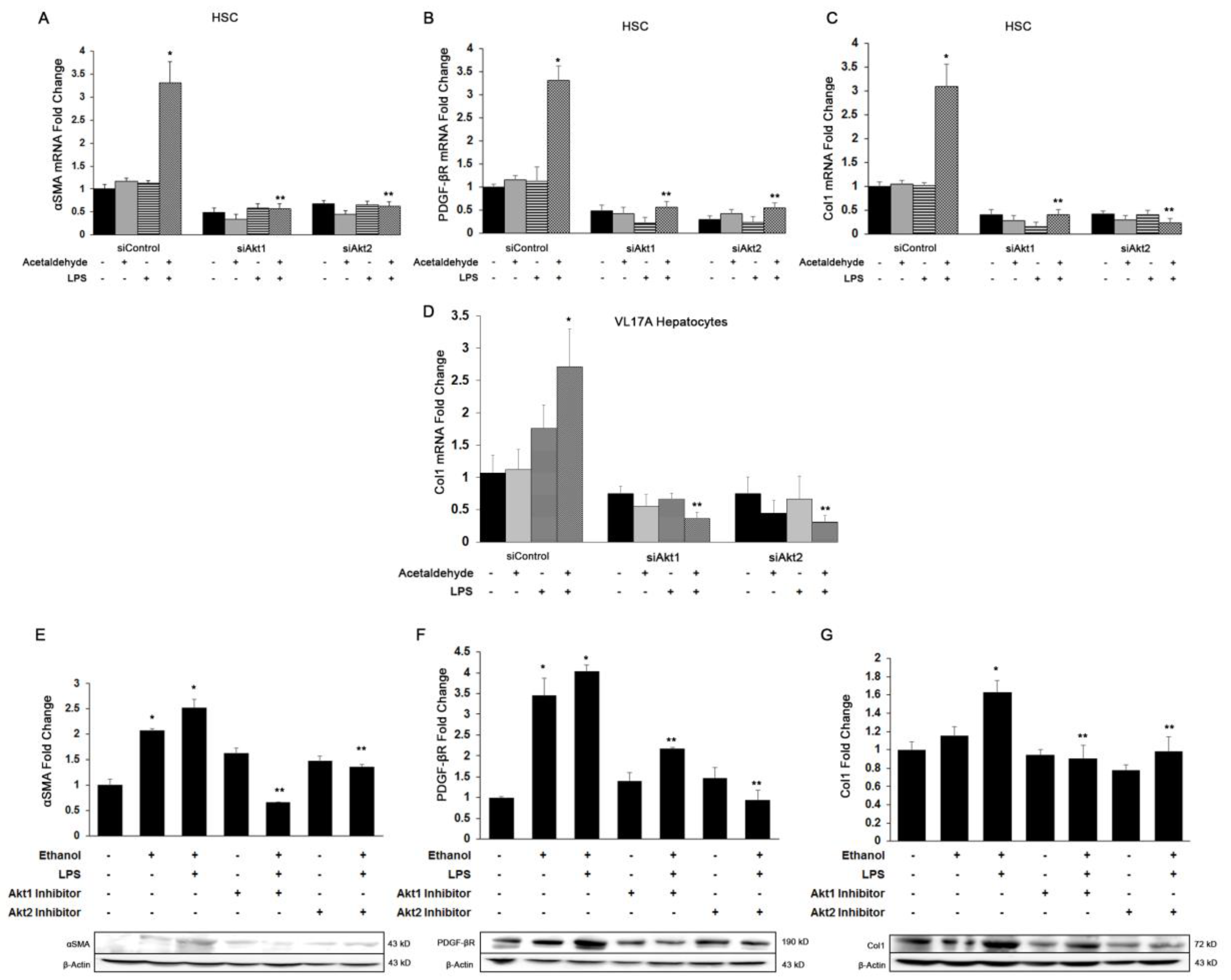 Cells 08 01337 g003 Cells 08 01337 g003