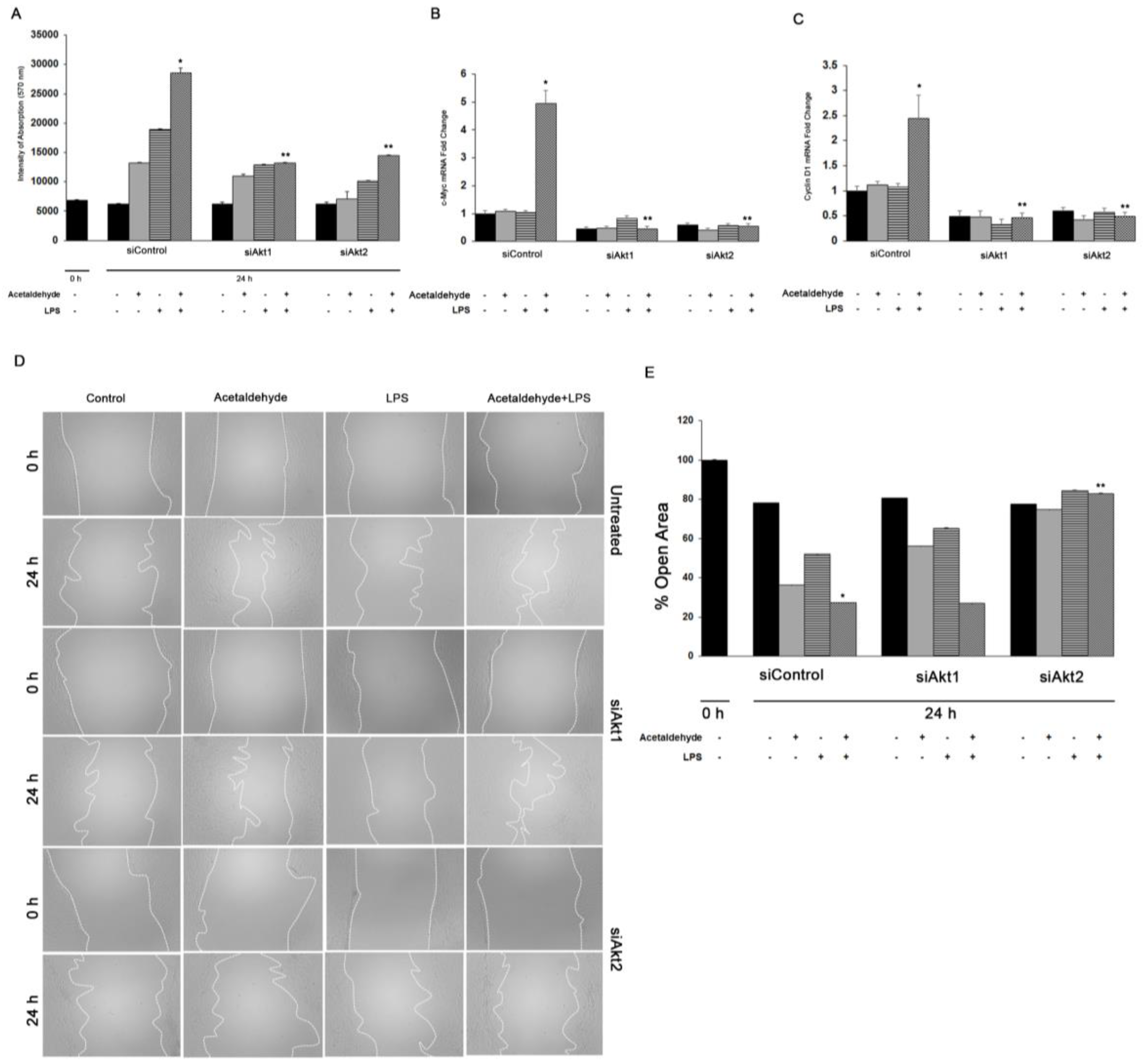 Cells 08 01337 g005 Cells 08 01337 g005