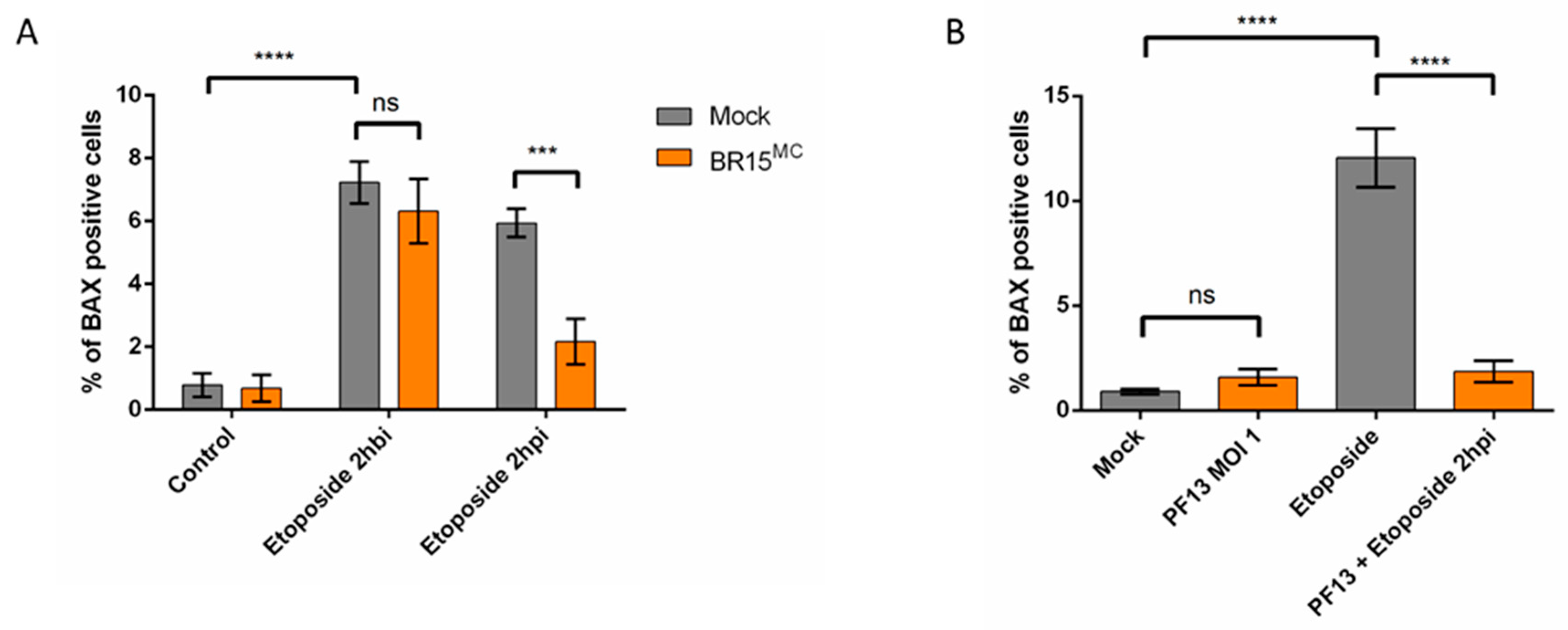 Cells 08 01338 g004 Cells 08 01338 g004