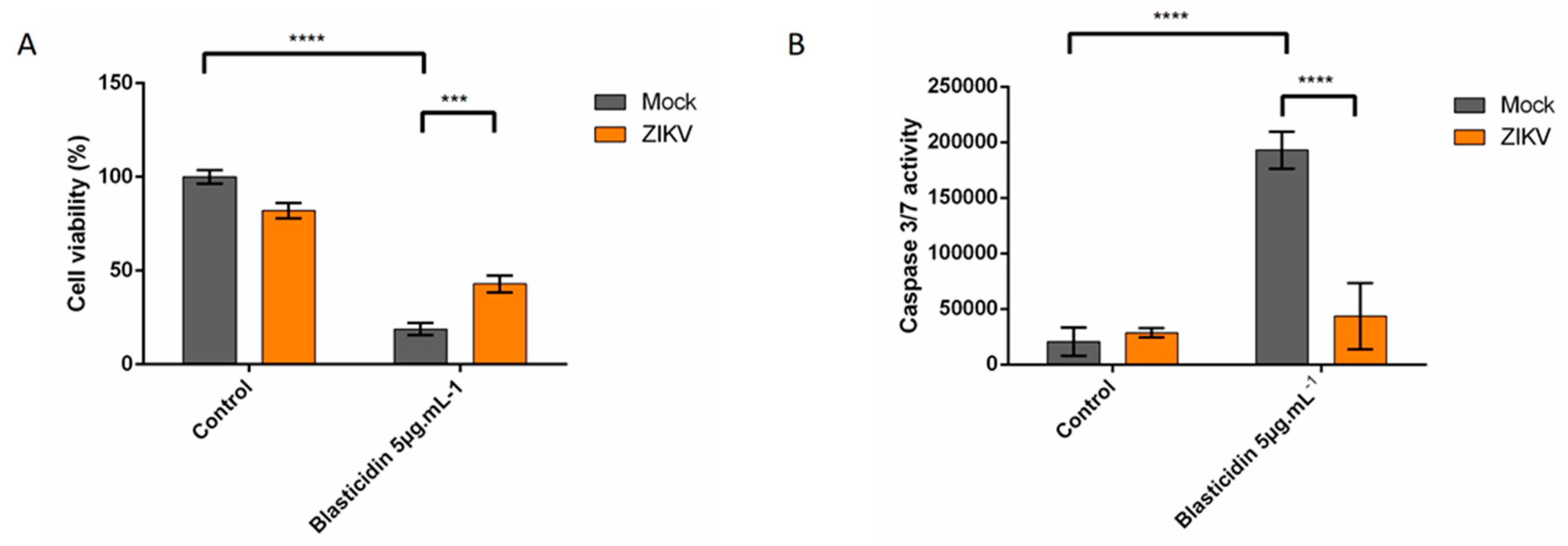 Cells 08 01338 g005 Cells 08 01338 g005